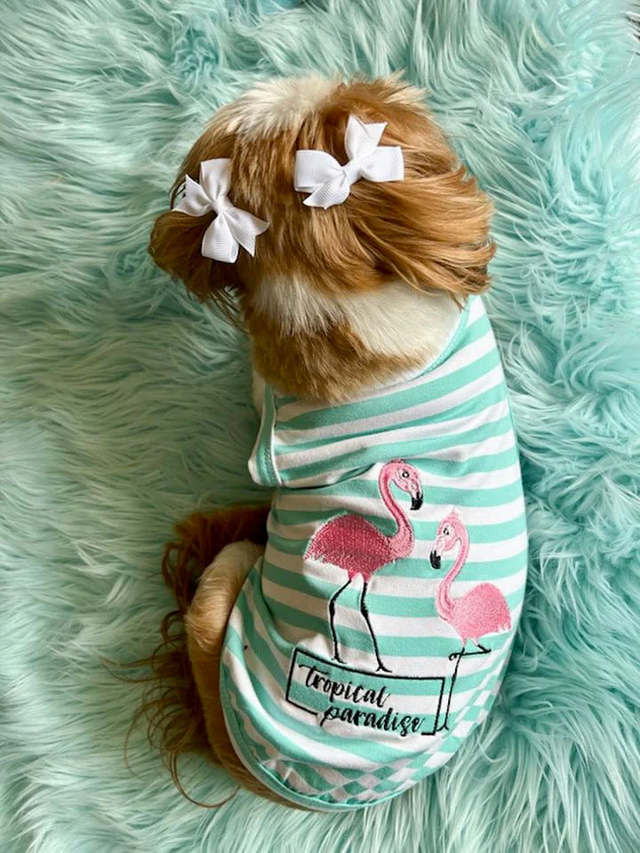 Parisian Pet 'Flamingos' Dog Shirt – Lightweight & Breathable Summer Outfit for Small Dogs & Cats, Light Blue and White Stripes - Image 7
