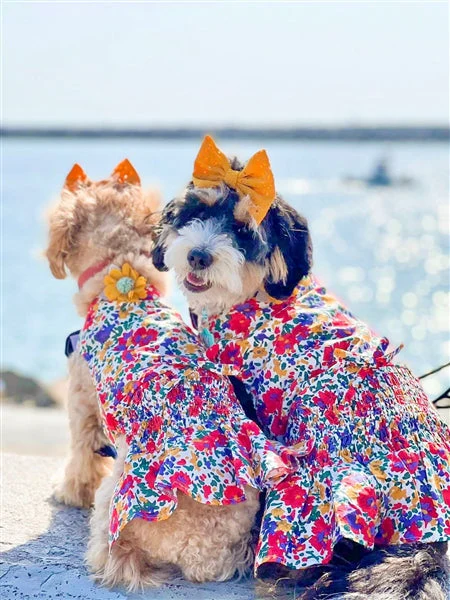 Parisian Pet 'Floral Artsy Dress' Dog & Cat Shirt โ Stylish and Comfortable Designer Dog Clothing - Red, Yellow, Blue, White-Valentine's Day - Image 3