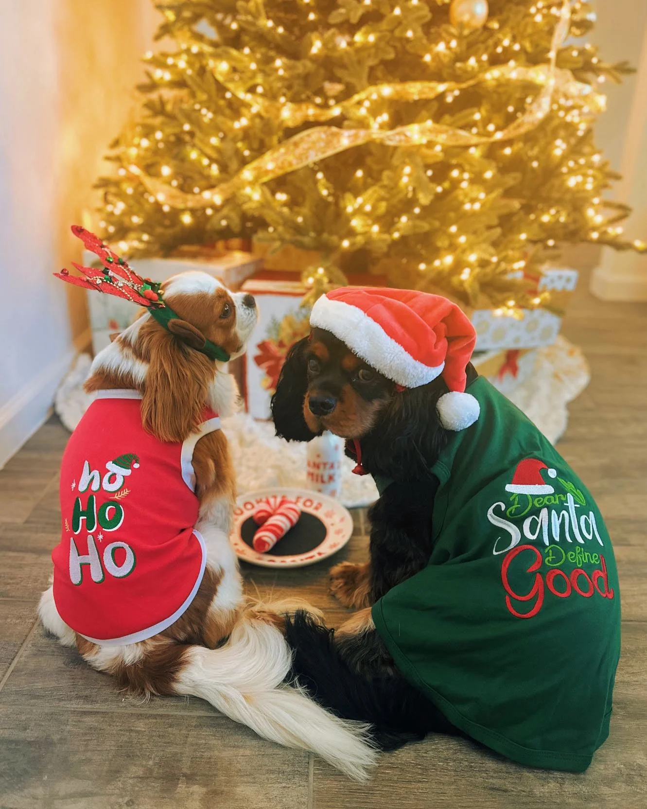 Parisian Pet 'Ho Ho Ho' Pet Holiday Shirt - Christmas Dog Outfit, Red - Image 4