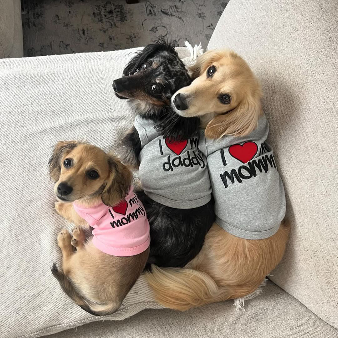 Parisian Pet 'I Love Daddy®' Lightweight Pet T-Shirt – Stylish Dog Clothing for Small Dogs & Cats, Gray - Image 4