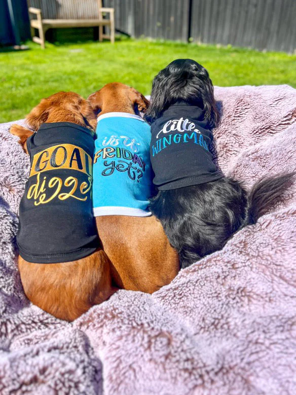 Parisian Pet 'Little Wingman' Winged Dog Shirt – Cool Adventure-Themed Shirt for Dogs & Cats, Black - Image 3