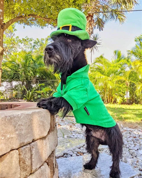 Parisian Pet 'Polo' Dog & Cat Shirt โ Comfortable Embroidered Cotton, Trendy Summer Apparel-Saint Patrick's Day - Image 4