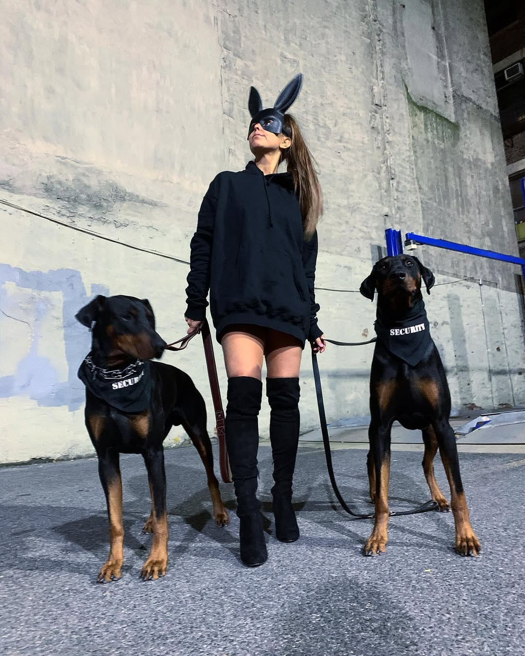 Parisian Pet 'Security®' Bandana - Comfortable, Fashionable Black Pet Bandana for Dogs & Cats, Trendy and Durable Pet Accessory - Image 3