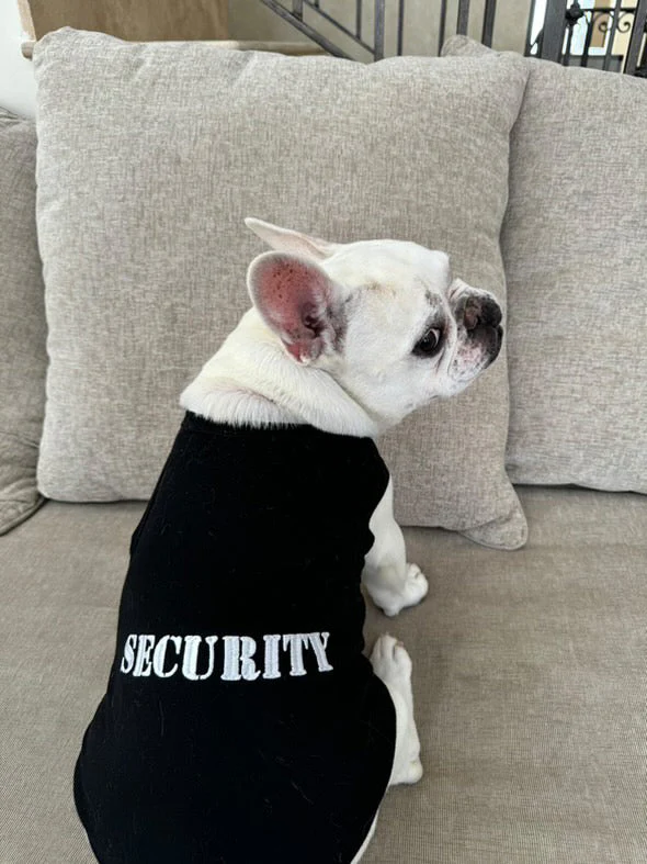 Parisian Pet 'Security®' Embroidered Dog Shirt – Comfortable Pet Apparel for Dogs & Cats, Black - Image 4
