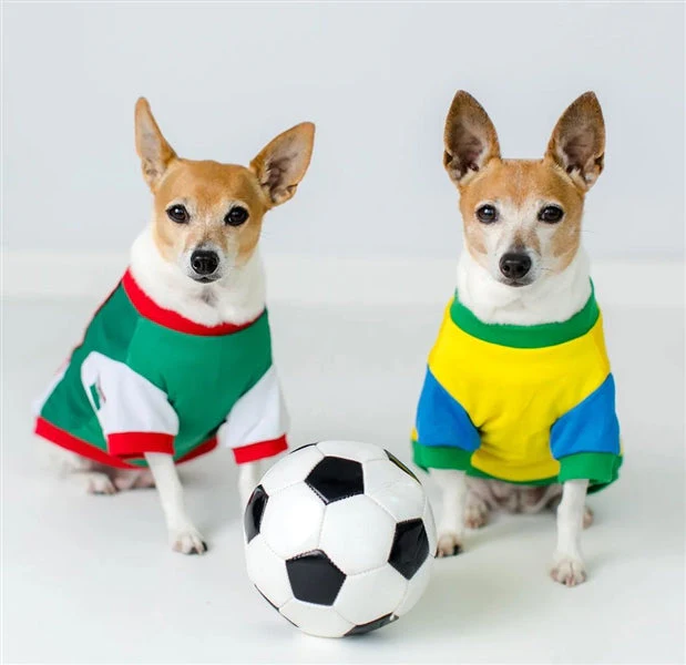 Parisian Pet 'Team Brazil' Dog & Cat Shirt – Embroidered Soccer Jersey, Comfortable & Stylish – Yellow Green - Image 7
