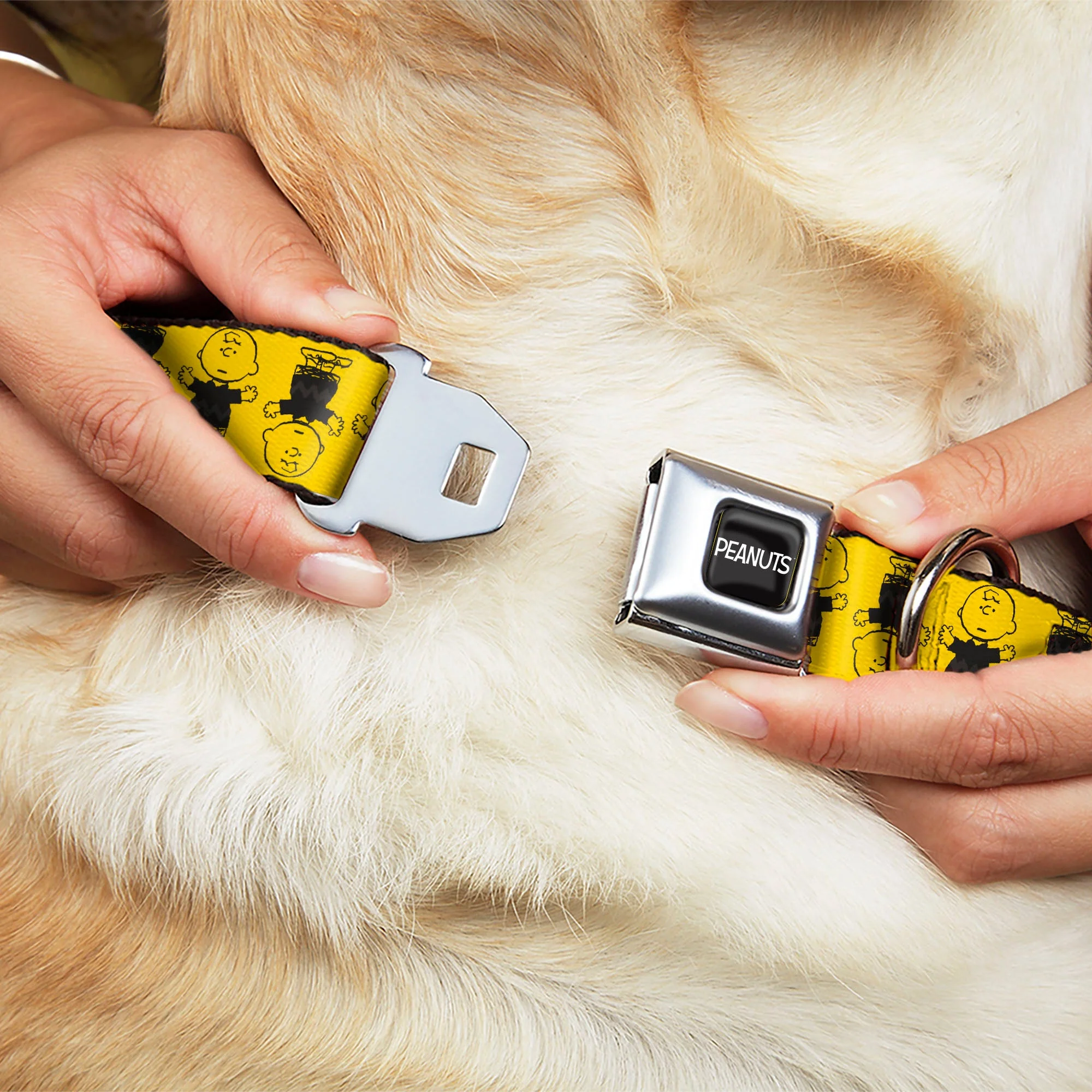 PEANUTS Title Logo Full Color Black/White Seatbelt Buckle Collar - Peanuts Charlie Brown Pose Flip Yellow/Black - Image 8