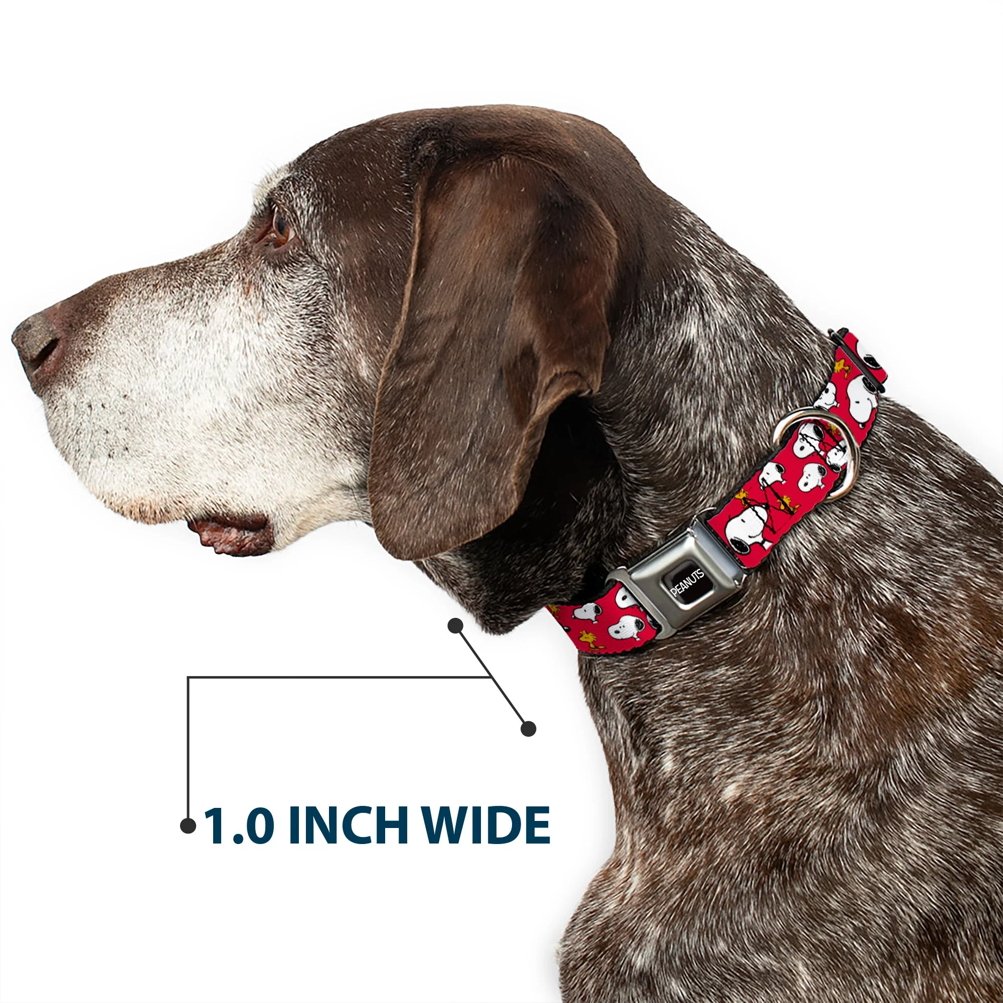 PEANUTS Title Logo Full Color Black/White Seatbelt Buckle Collar - Peanuts Snoopy and Woodstock Poses Scattered Red - Image 6