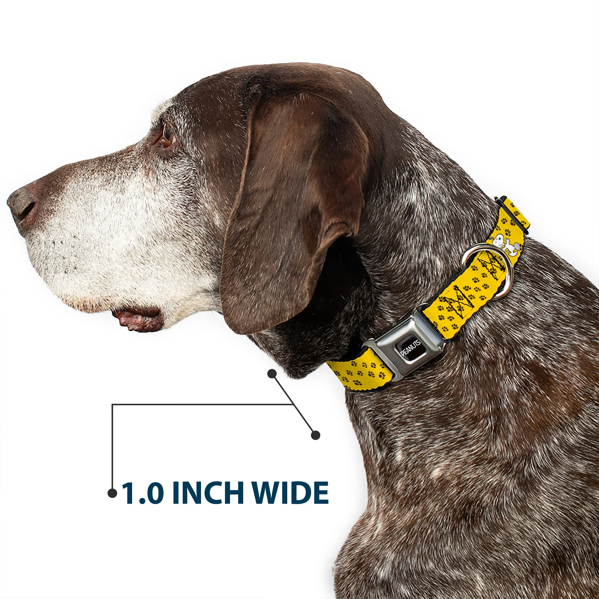 PEANUTS Title Logo Full Color Black/White Seatbelt Buckle Collar - Peanuts Snoopy Smiling Pose/Paw Print Yellow/Black/White - Image 6