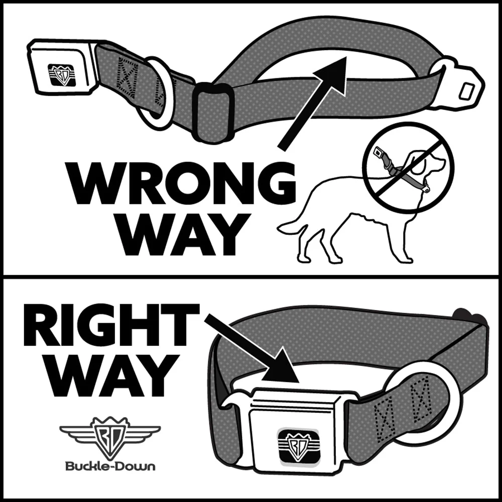 PEANUTS Title Logo Full Color Black/White Seatbelt Buckle Collar - Peanuts Snoopy Walking/Silhouette Pose Red/Black/White - Image 11