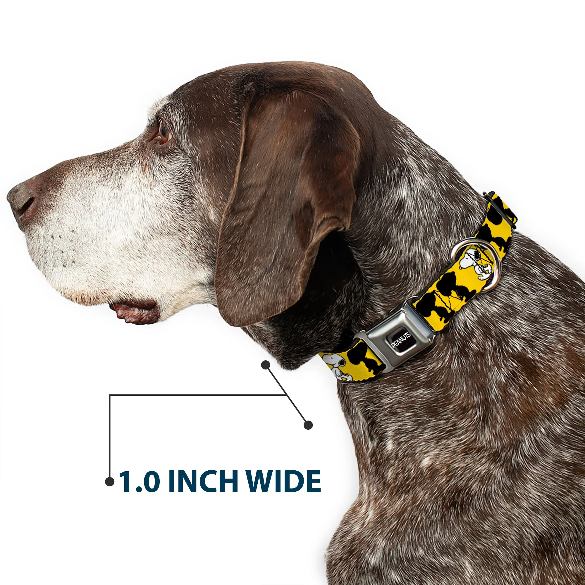 PEANUTS Title Logo Full Color Black/White Seatbelt Buckle Collar - Peanuts Snoopy Walking/Silhouette Pose Yellow/Black/White - Image 6