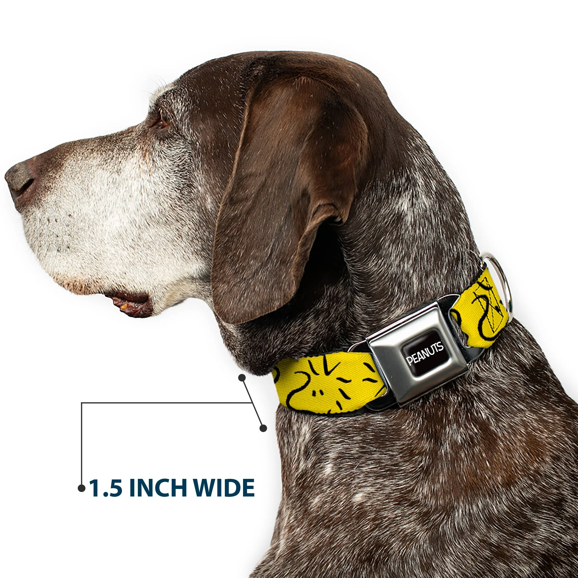 PEANUTS Title Logo Full Color Black/White Seatbelt Buckle Collar - Peanuts Woodstock Line Face Line Art Yellow/Black - Image 7