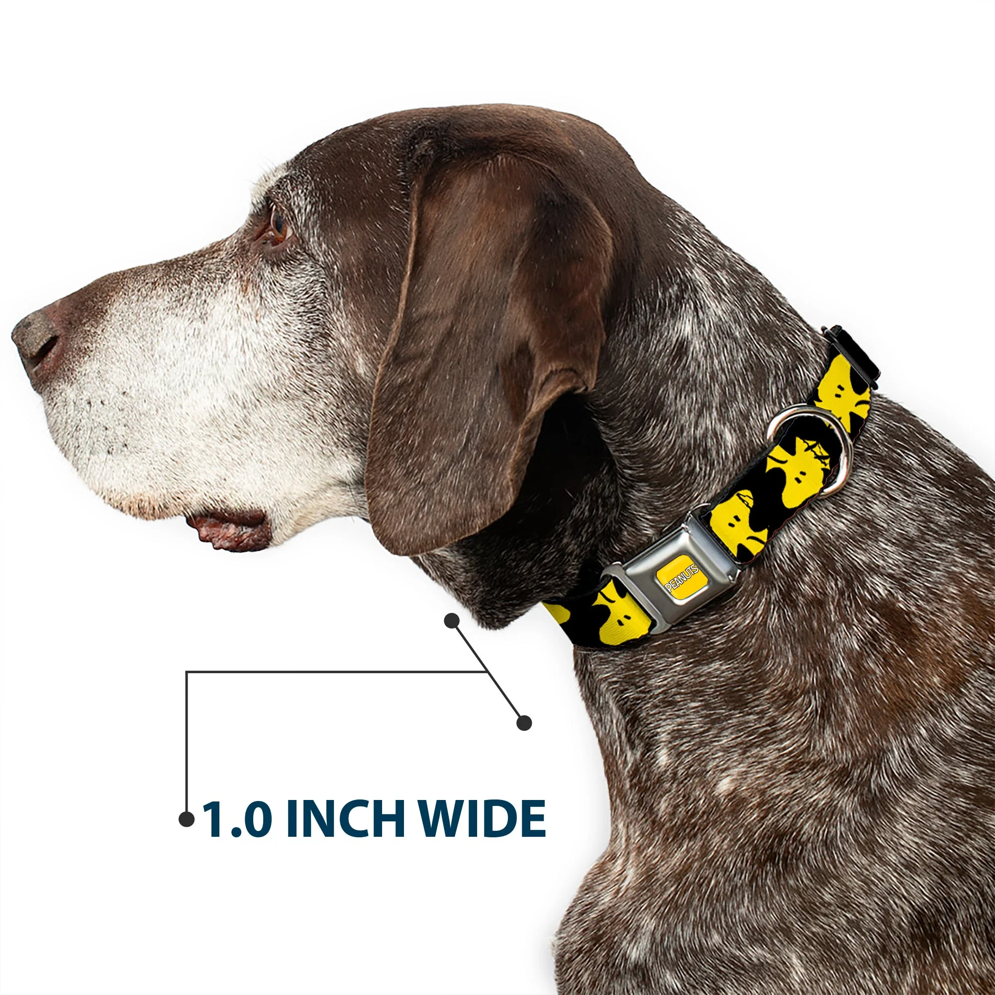 PEANUTS Title Logo Full Color Yellow/White Seatbelt Buckle Collar - Peanuts Woodstock Face Flip Black/Yellow - Image 6