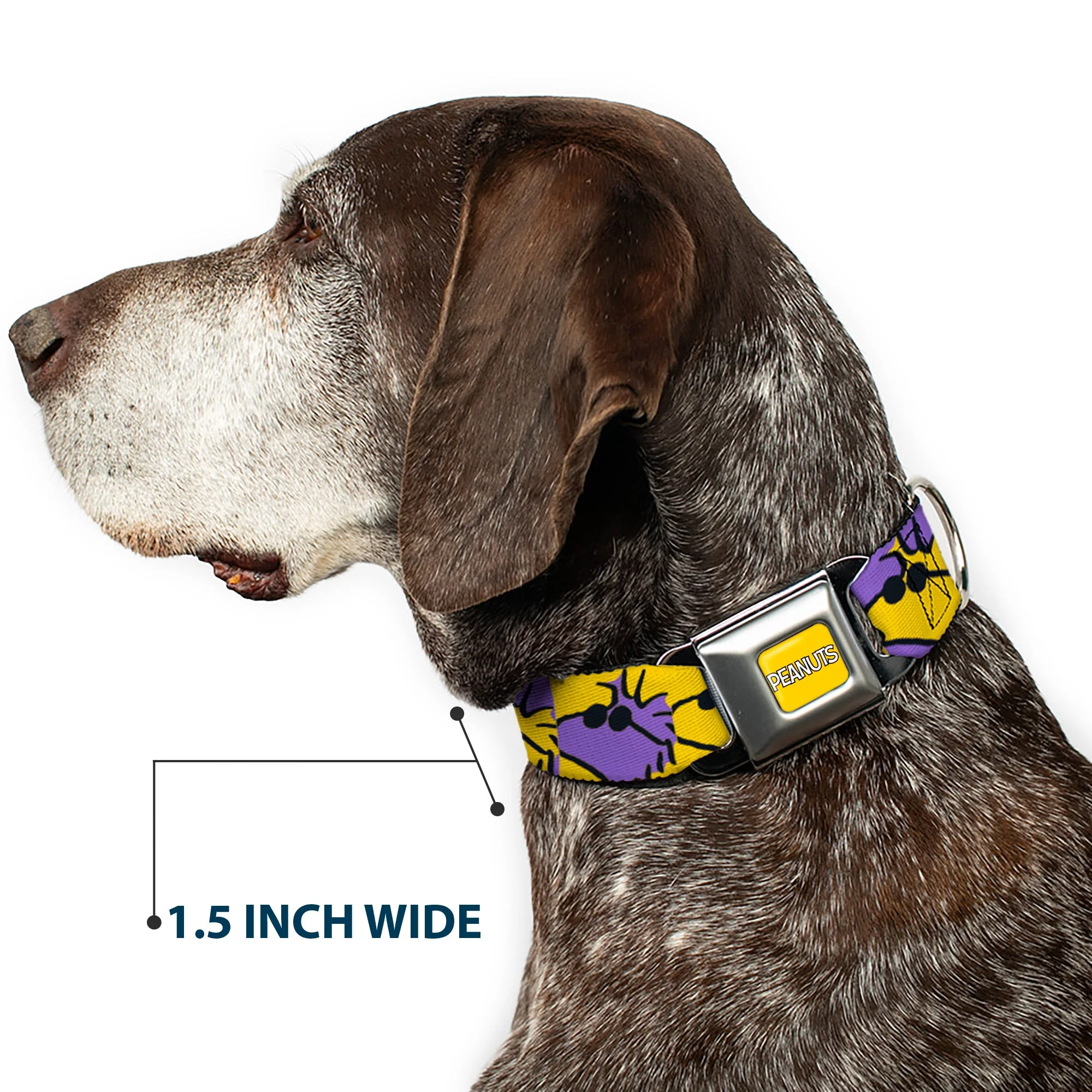 PEANUTS Title Logo Full Color Yellow/White Seatbelt Buckle Collar - Peanuts Woodstock Shades Pose Blocks Blue/Yellow/Black - Image 7