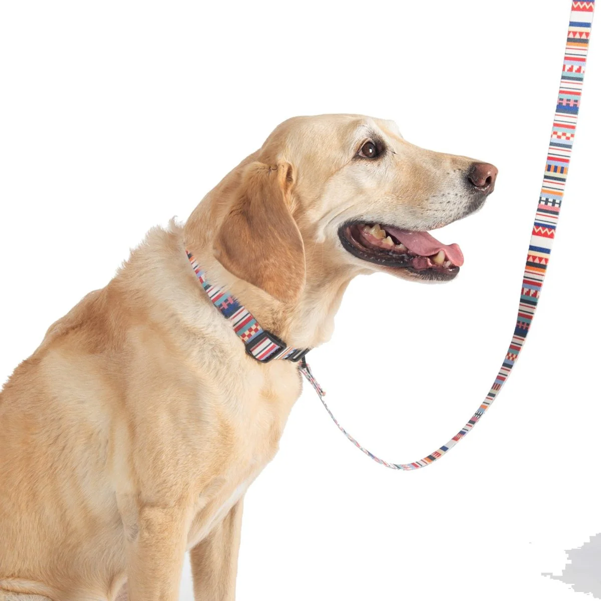 Pendleton Adventure Collar - Image 10
