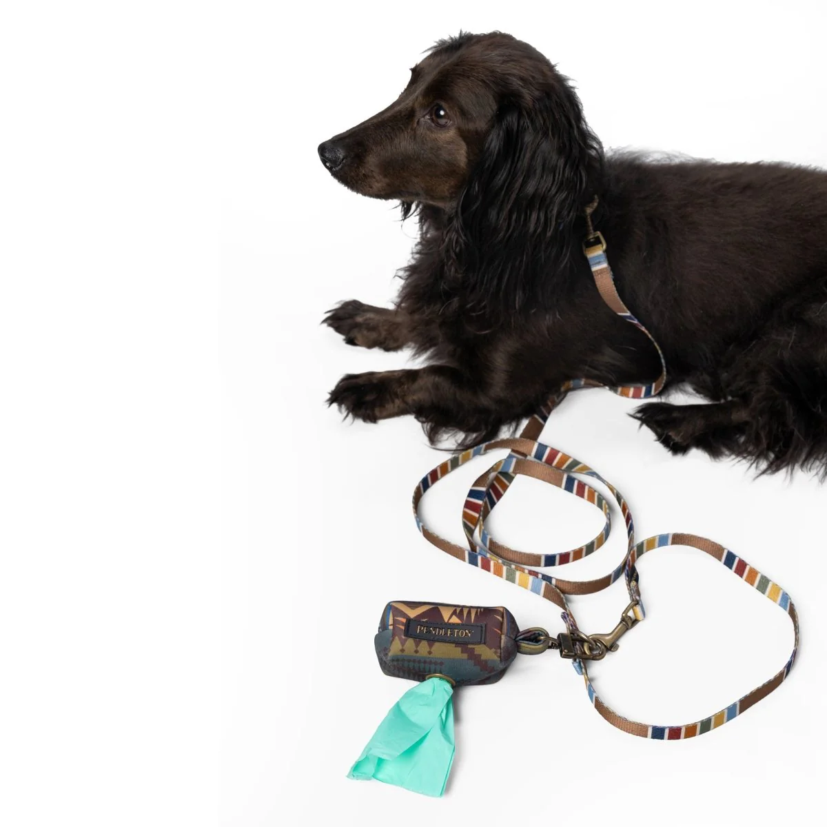 Pendleton National Park Adventure Leash - Image 28