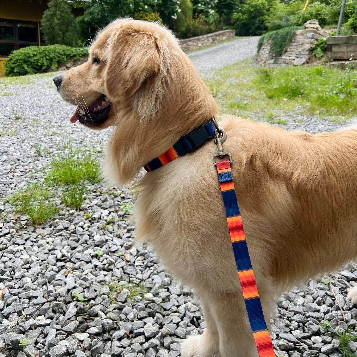 Pendleton National Park Adventure Leash - Image 9