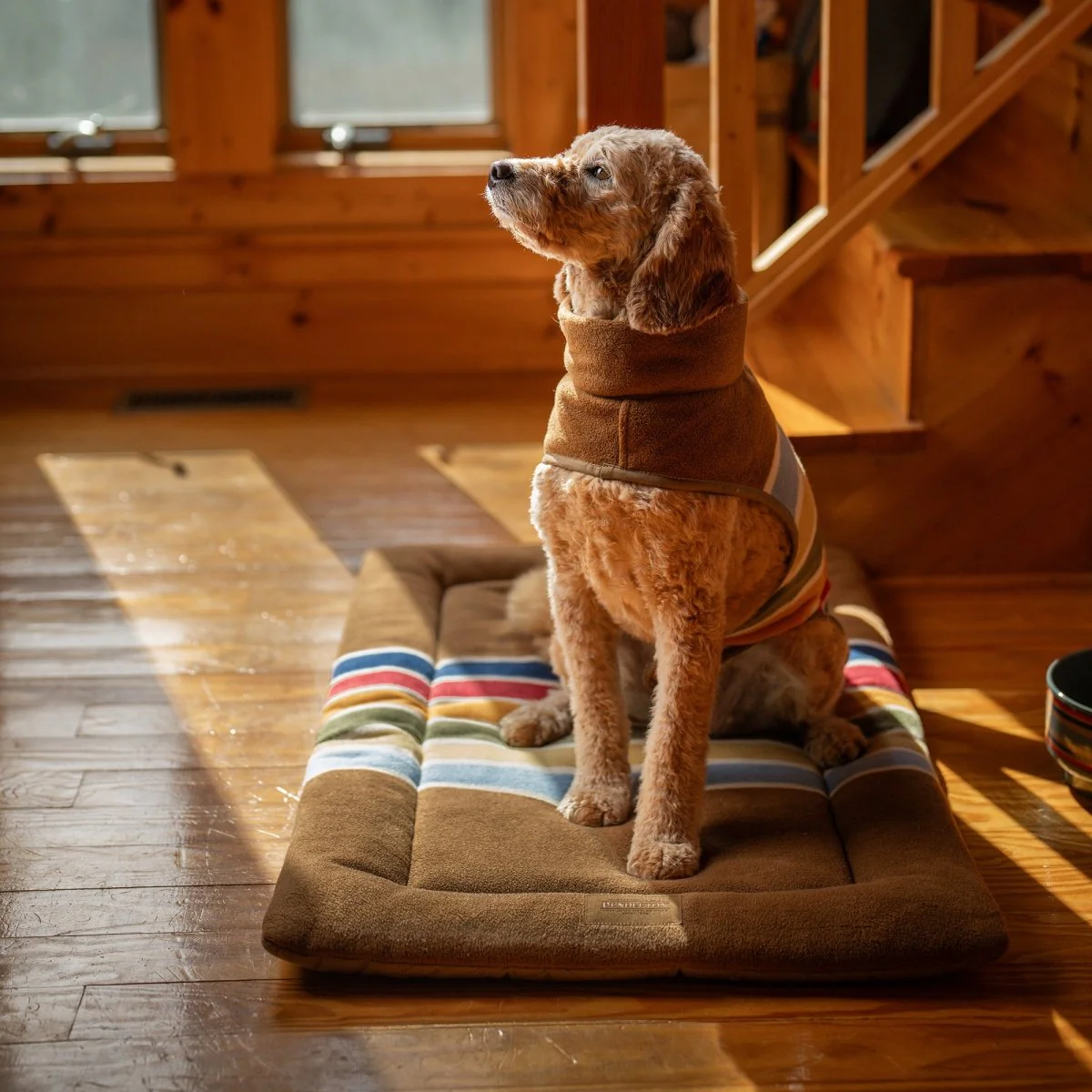 Pendleton National Park Dog Vest