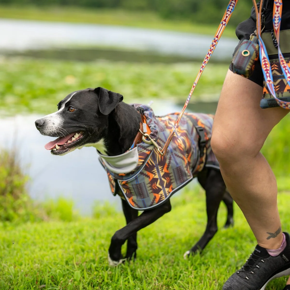Pendleton Waterproof Adventure Pet Coat - Image 16