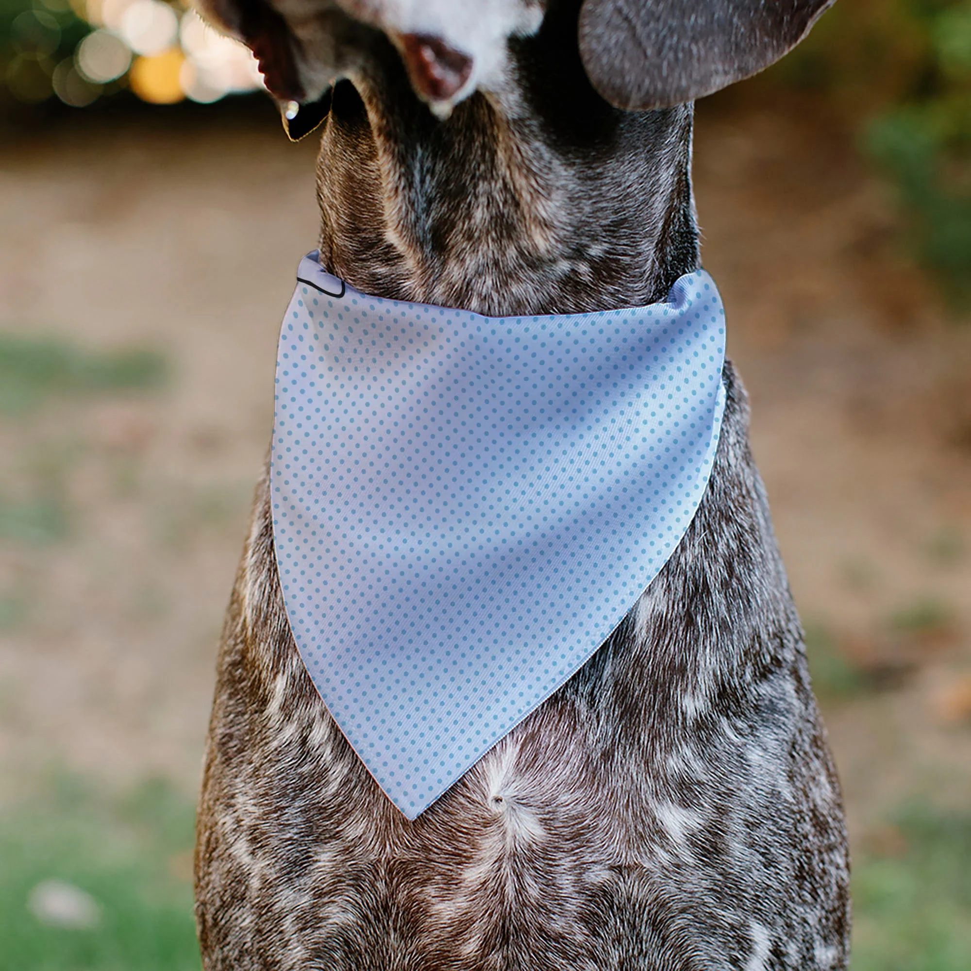 Pet Bandana - Lilo & Stitch Stitch Winking Pose and Polka Dots White/Blue - Image 5