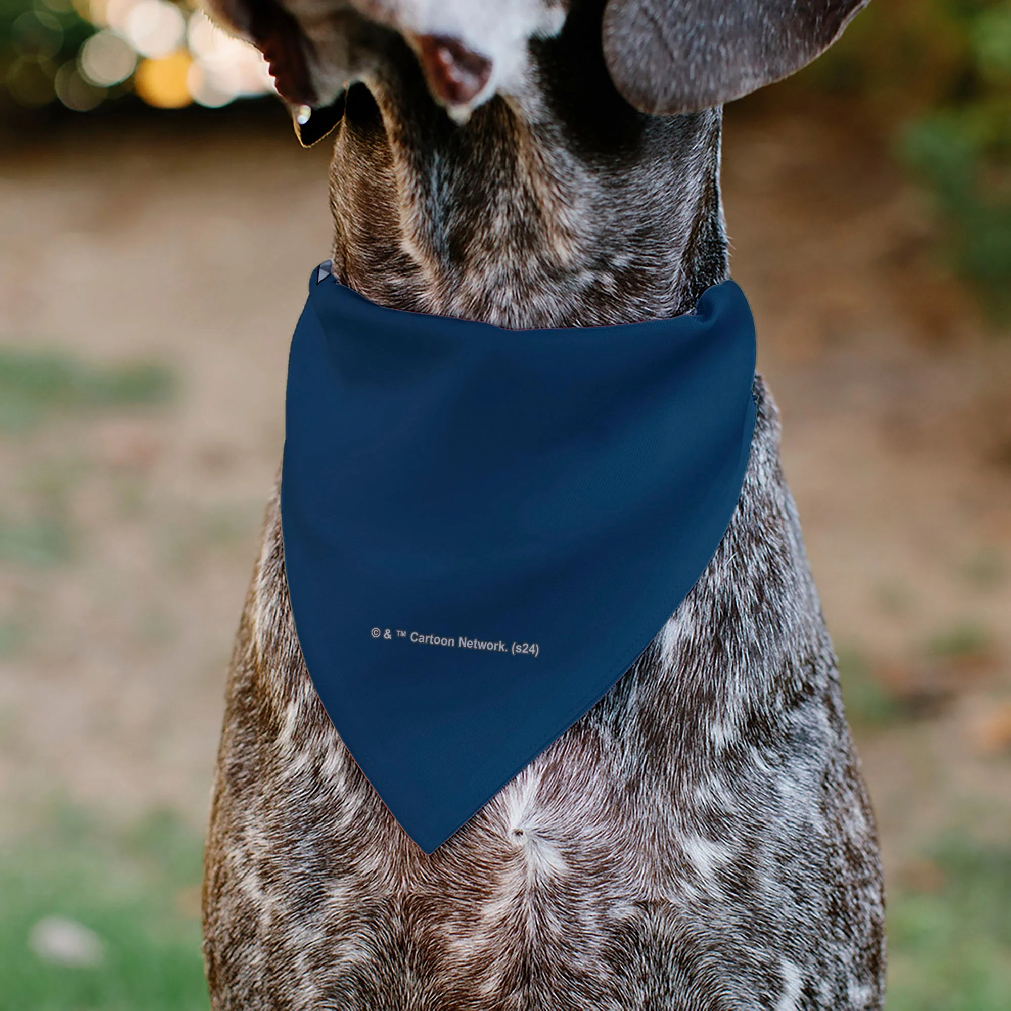 Pet Bandana - Rick and Morty Arms Crossed Pose Blue - Image 5