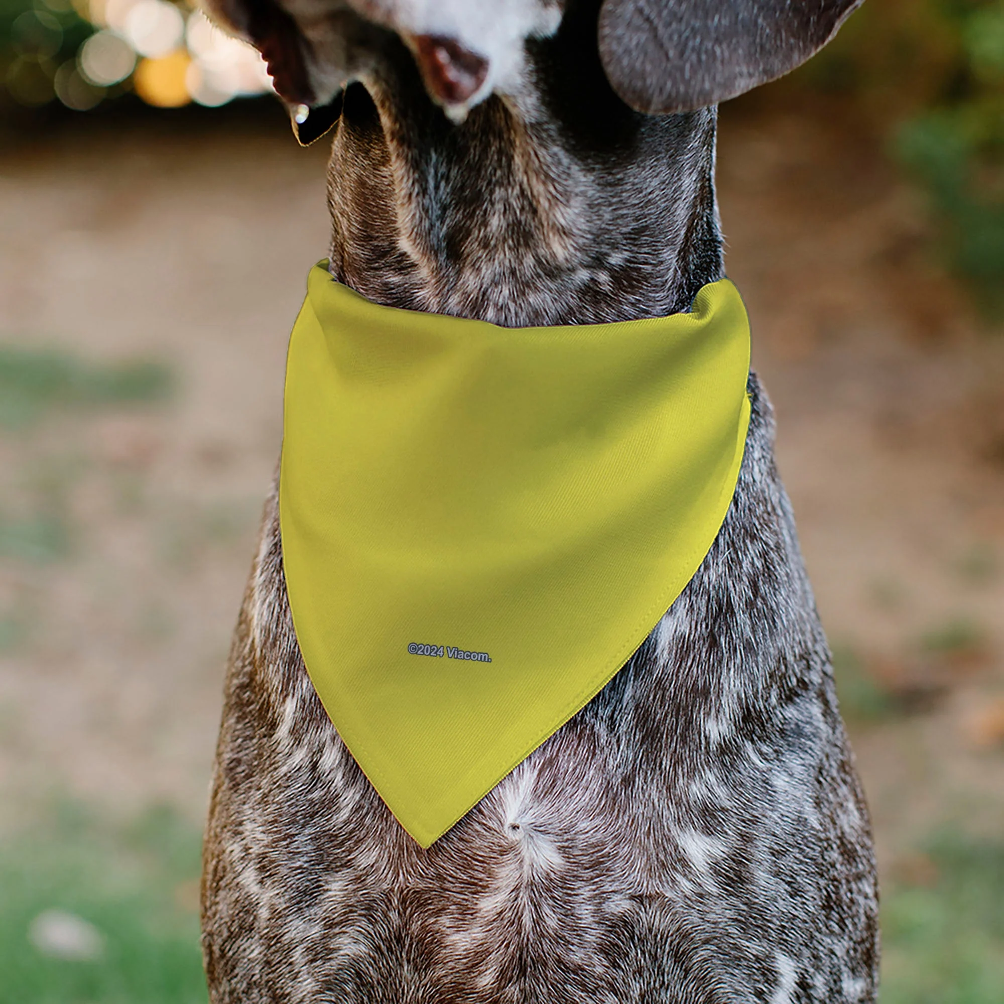 Pet Bandana - SpongeBob SquarePants SPSP $B Chain Pose Yellow - Image 5