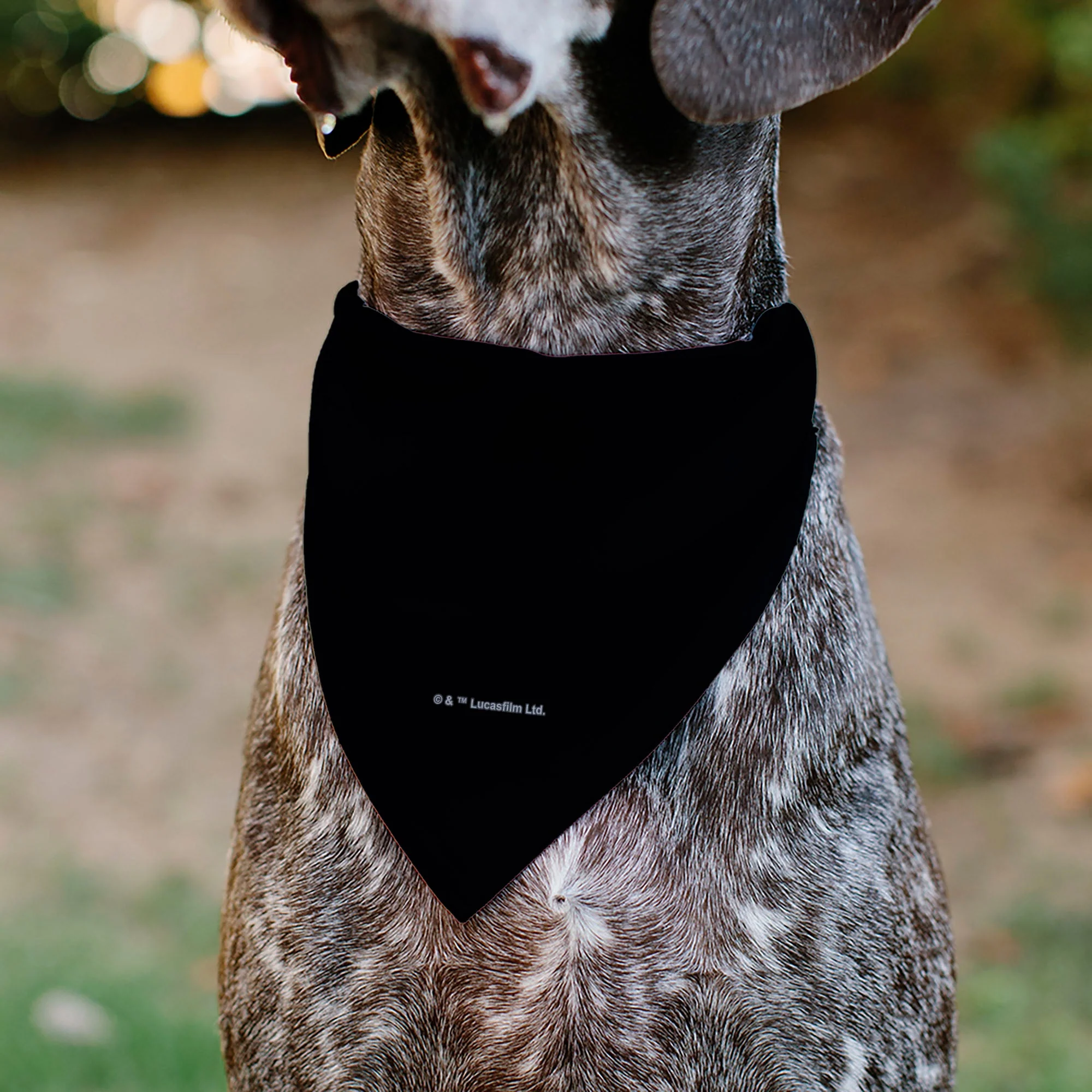 Pet Bandana - Star Wars Grogu Baby Yoda Smiling Impression Painting Black - Image 5