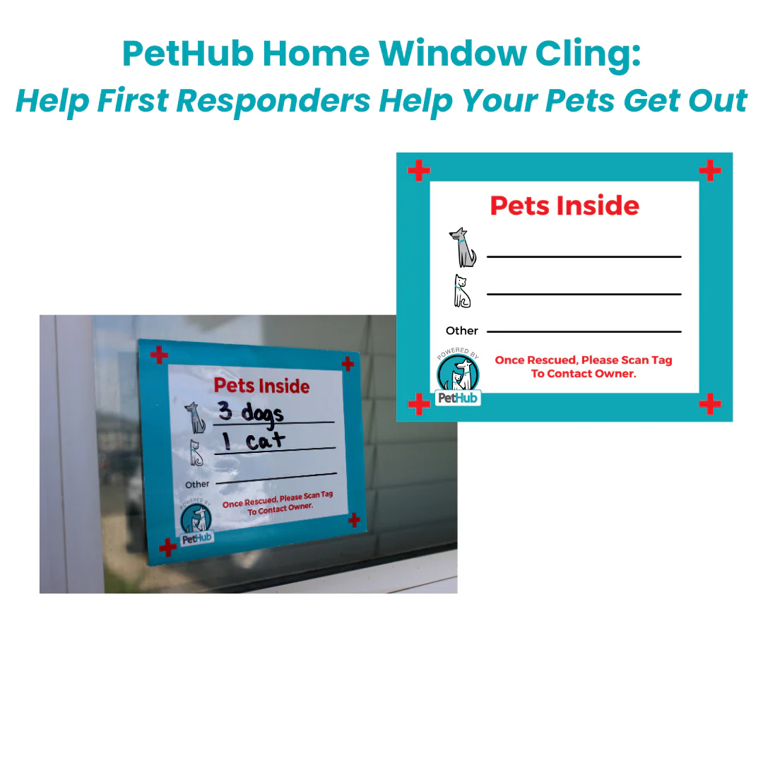 PetHub QR Pet ID Comprehensive ReadyKit – Complete Emergency Kit - Image 4