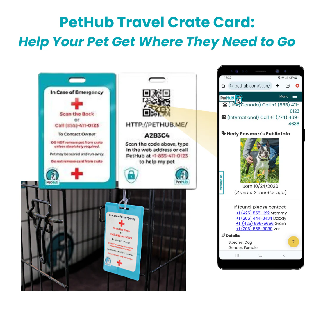 PetHub QR Pet ID Comprehensive ReadyKit – Complete Emergency Kit - Image 6