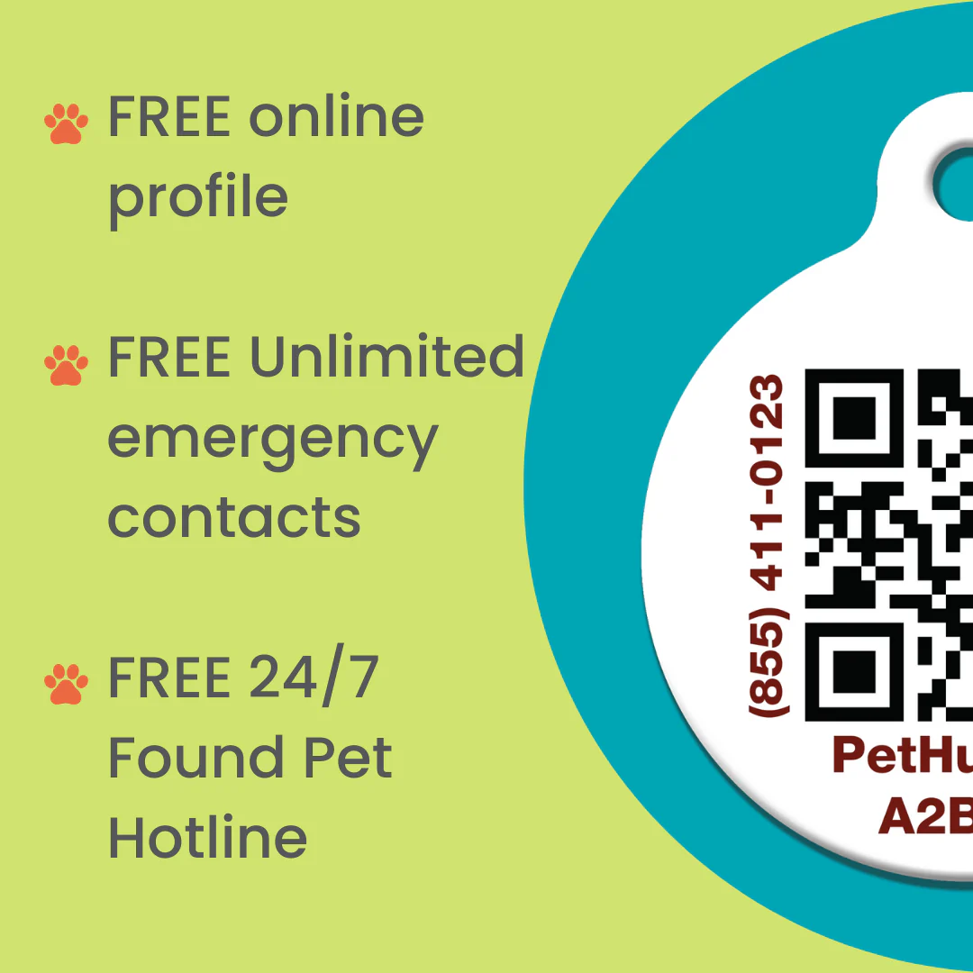 PetHub QR Pet ID Wallet & Keychain Card – Emergency Backup for Your Pet - Image 2