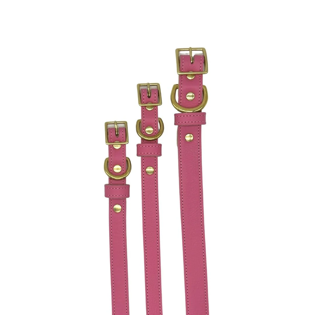 Plain Leather Dog Collar - Image 25