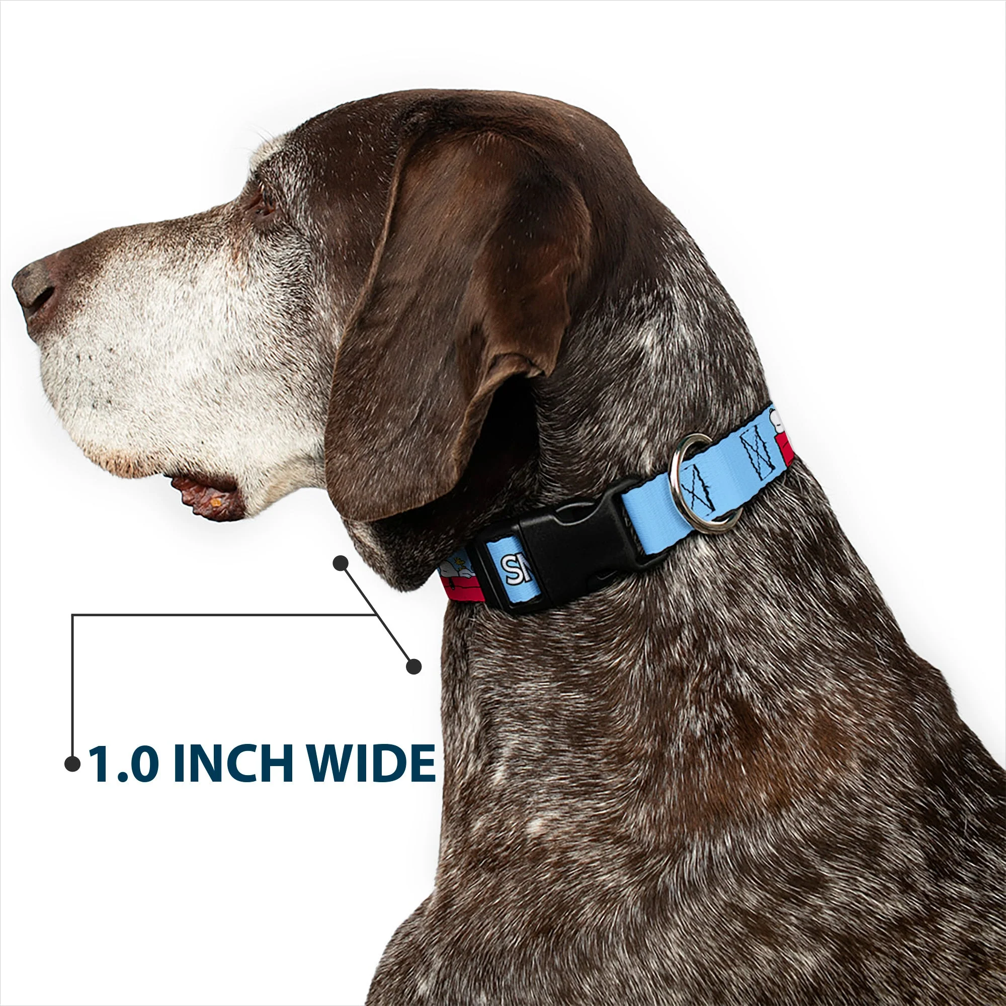Plastic Clip Collar - Peanuts Snoopy and Woodstock Dog House Pose and Text Sky Blue - Image 6