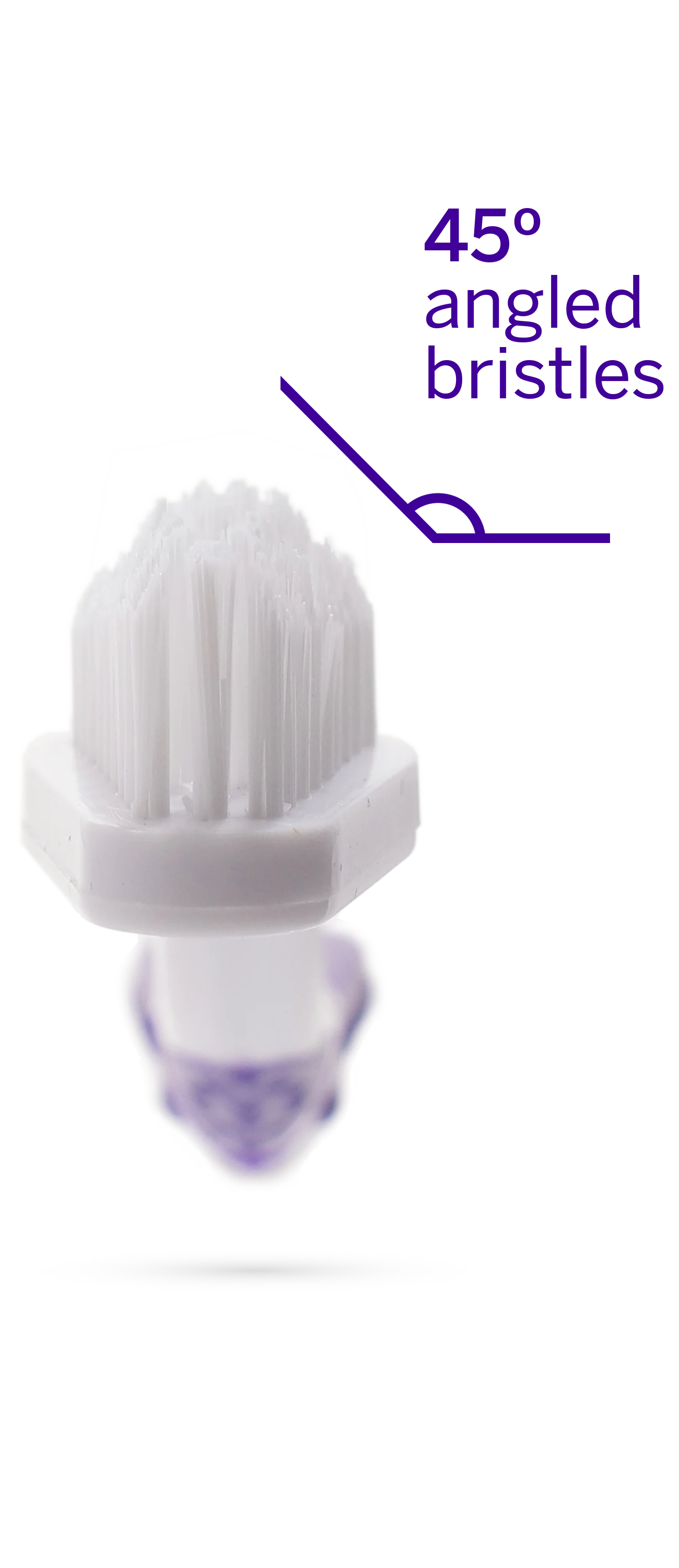 Professional Toothpaste London Broil Large & Professional Pet Toothbrush - Image 5