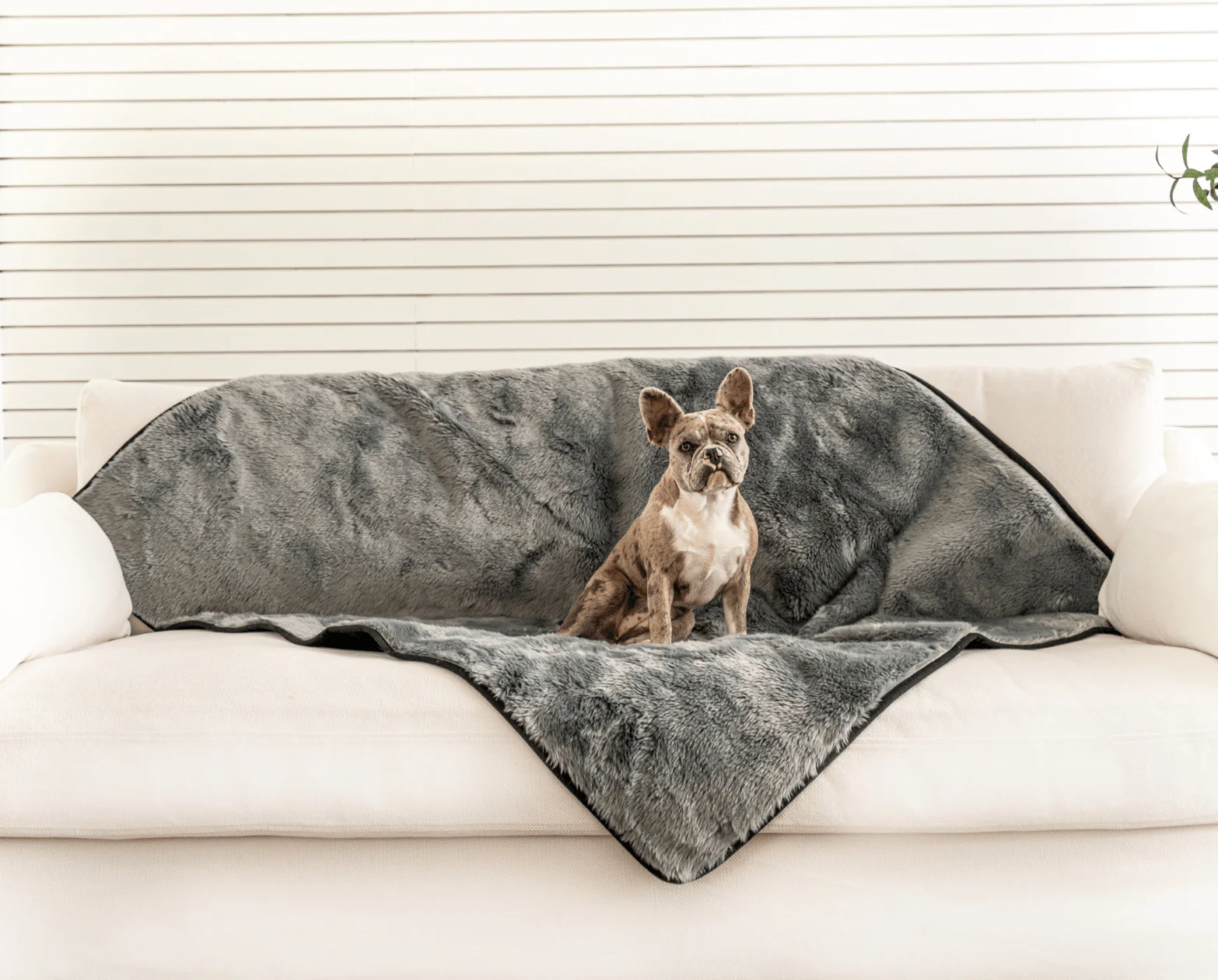 PupProtector™ Short Fur Waterproof Throw Blanket - Charcoal Grey - Image 2