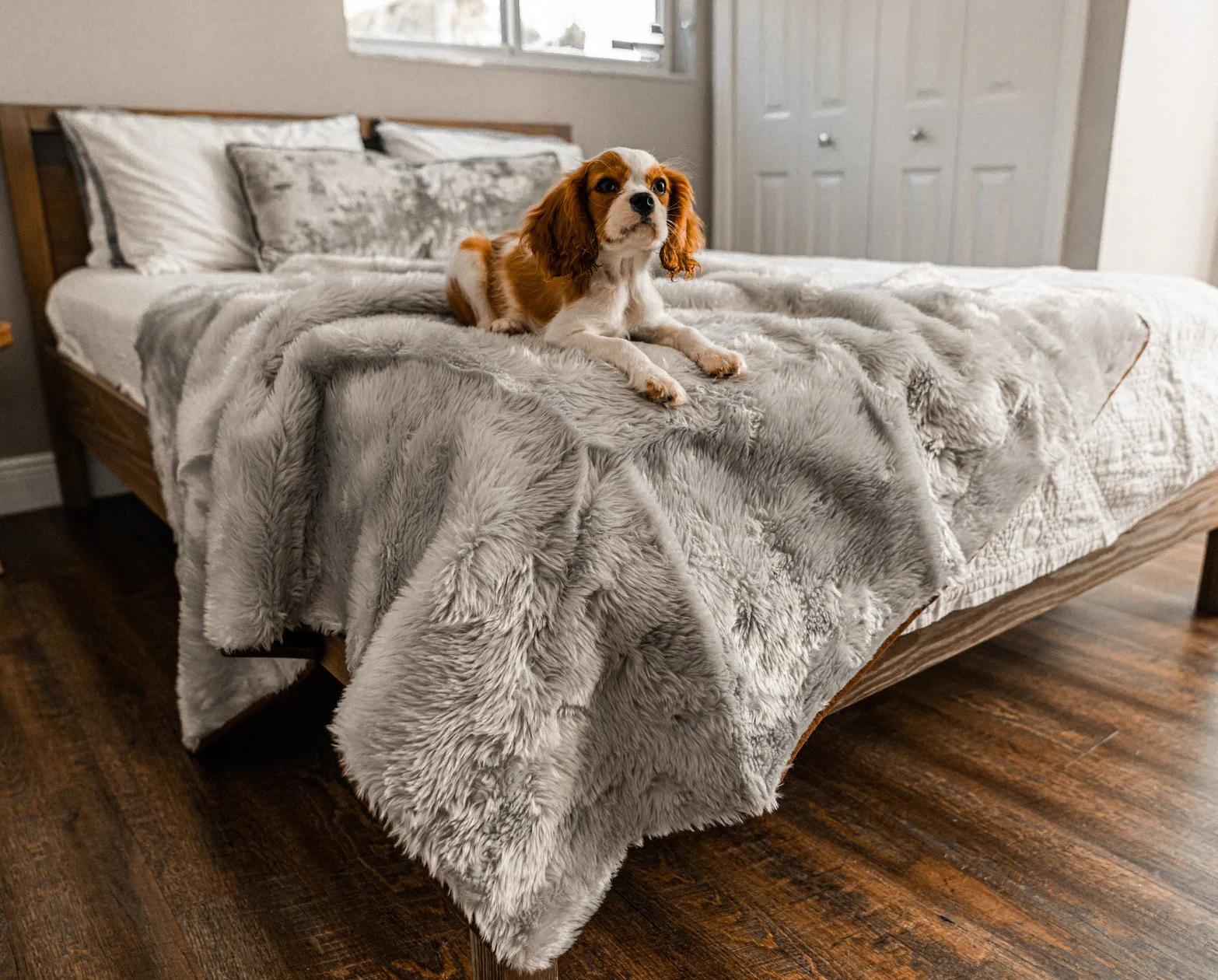 PupProtector™ Short Fur Waterproof Throw Blanket - Grey - Image 2
