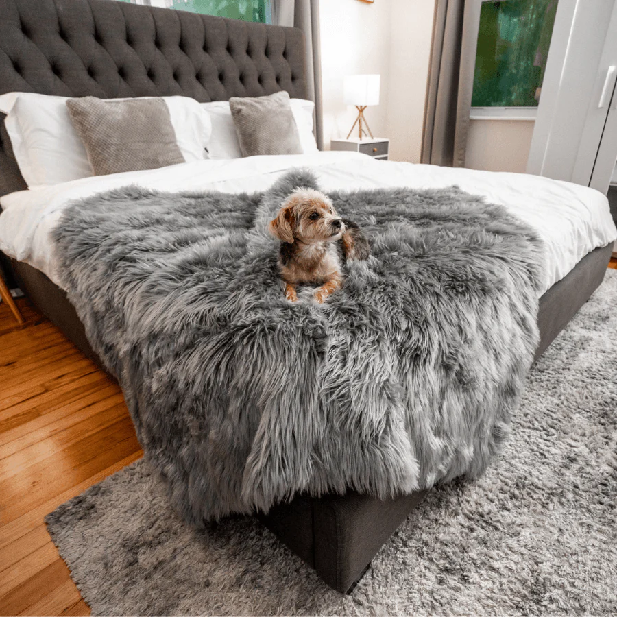 PupProtector™ Waterproof Throw Blanket - Charcoal Grey - Image 2