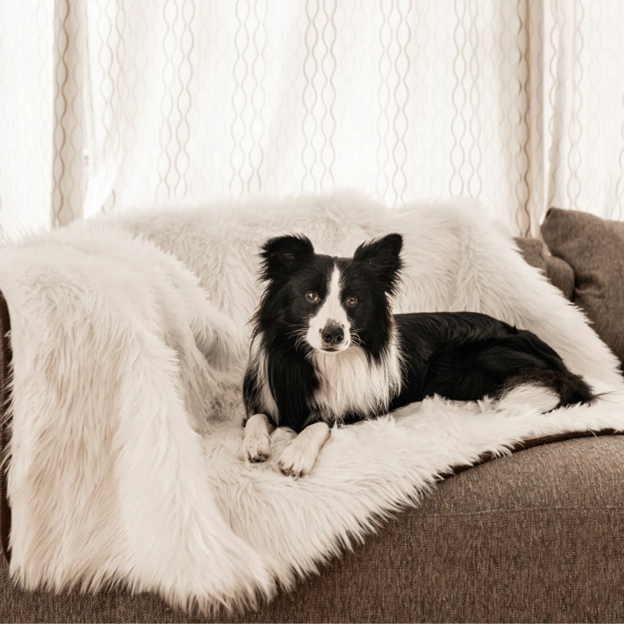 PupProtector⢠Waterproof Throw Blanket - Polar White - Image 5