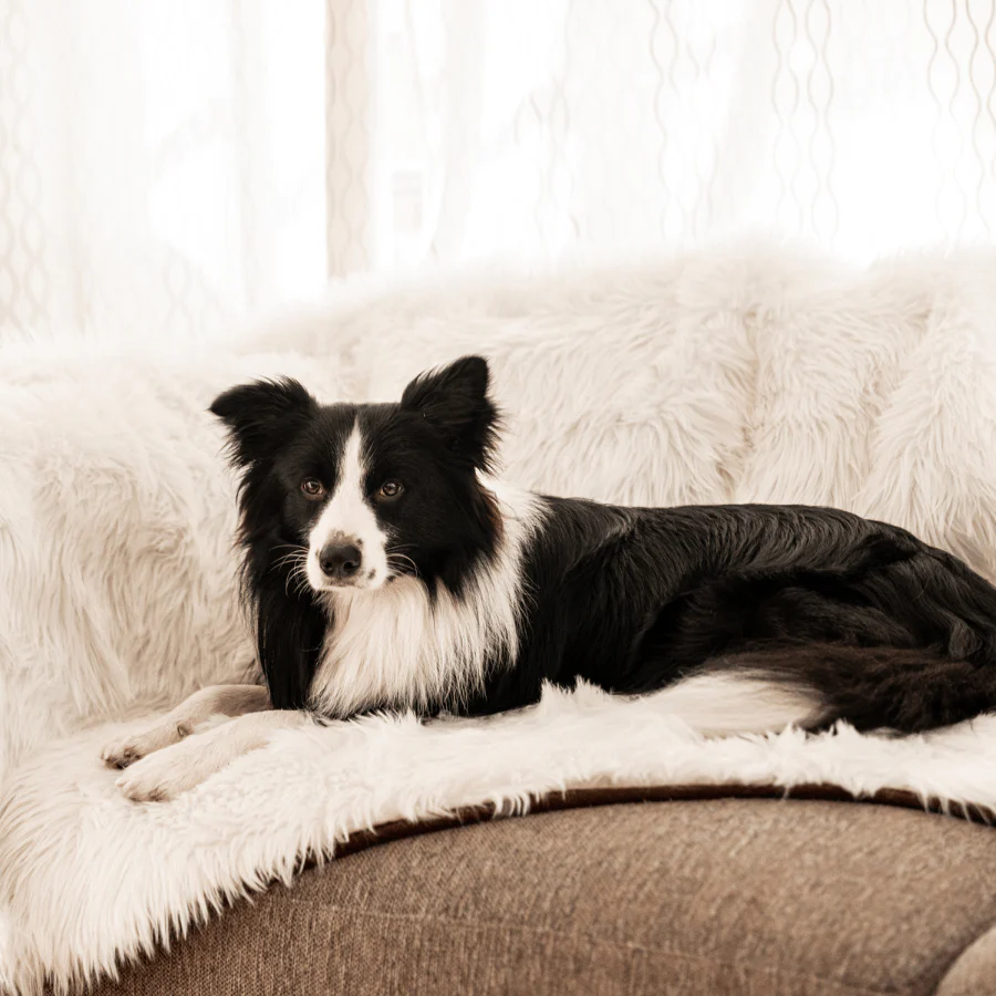 PupProtector⢠Waterproof Throw Blanket - Polar White - Image 7