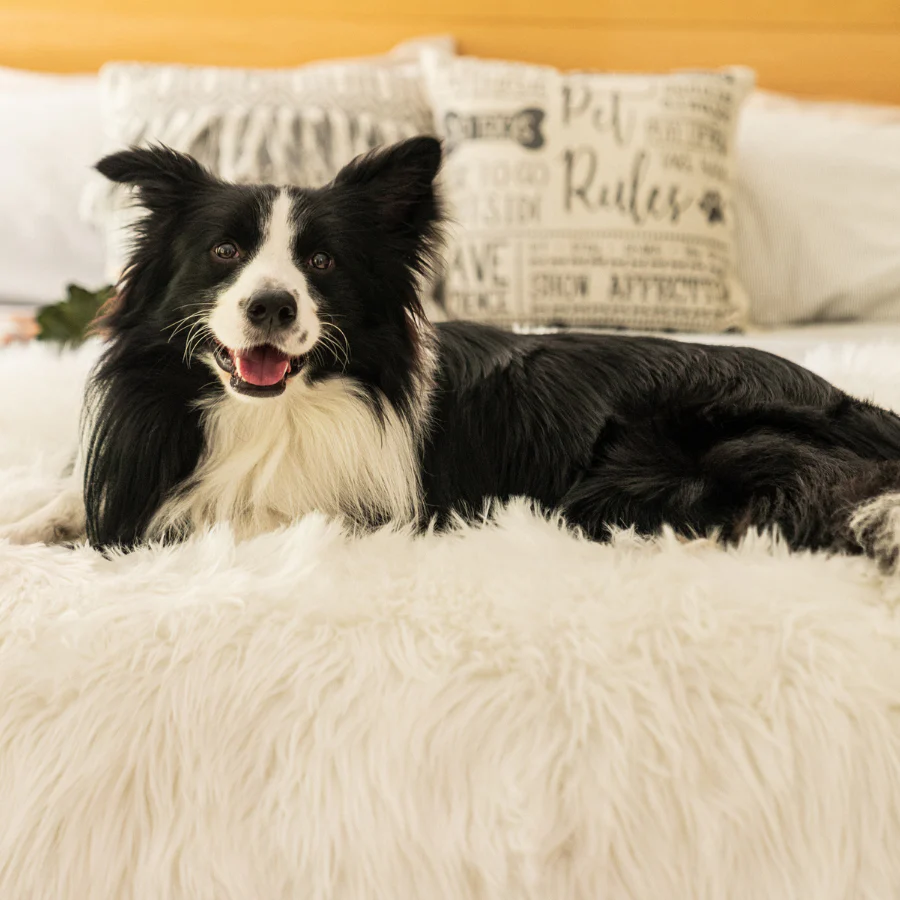 PupProtector⢠Waterproof Throw Blanket - Polar White - Image 9