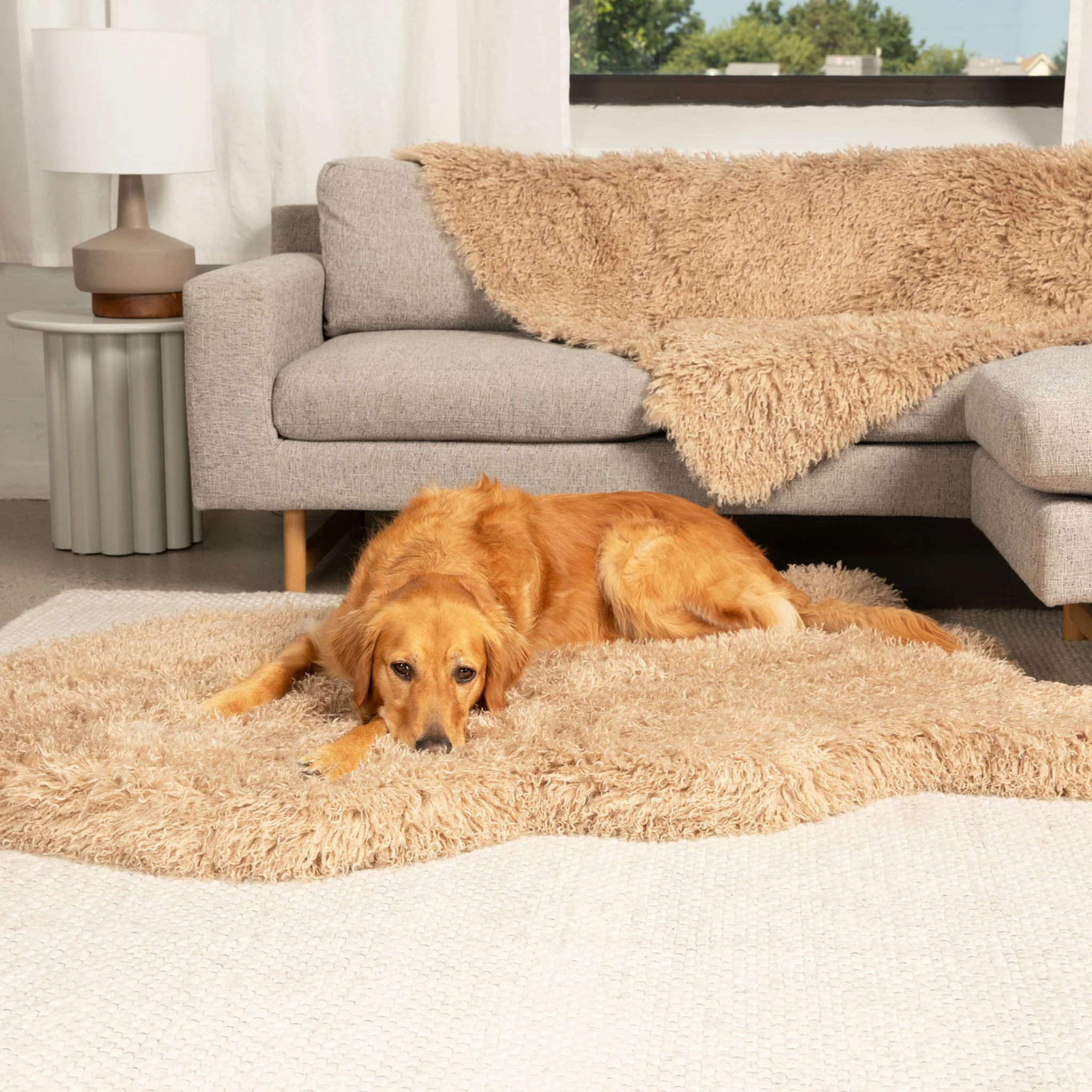 PupRug® Luxe Faux Fur Orthopedic Dog Bed - Plush Sheep Tan - Image 13