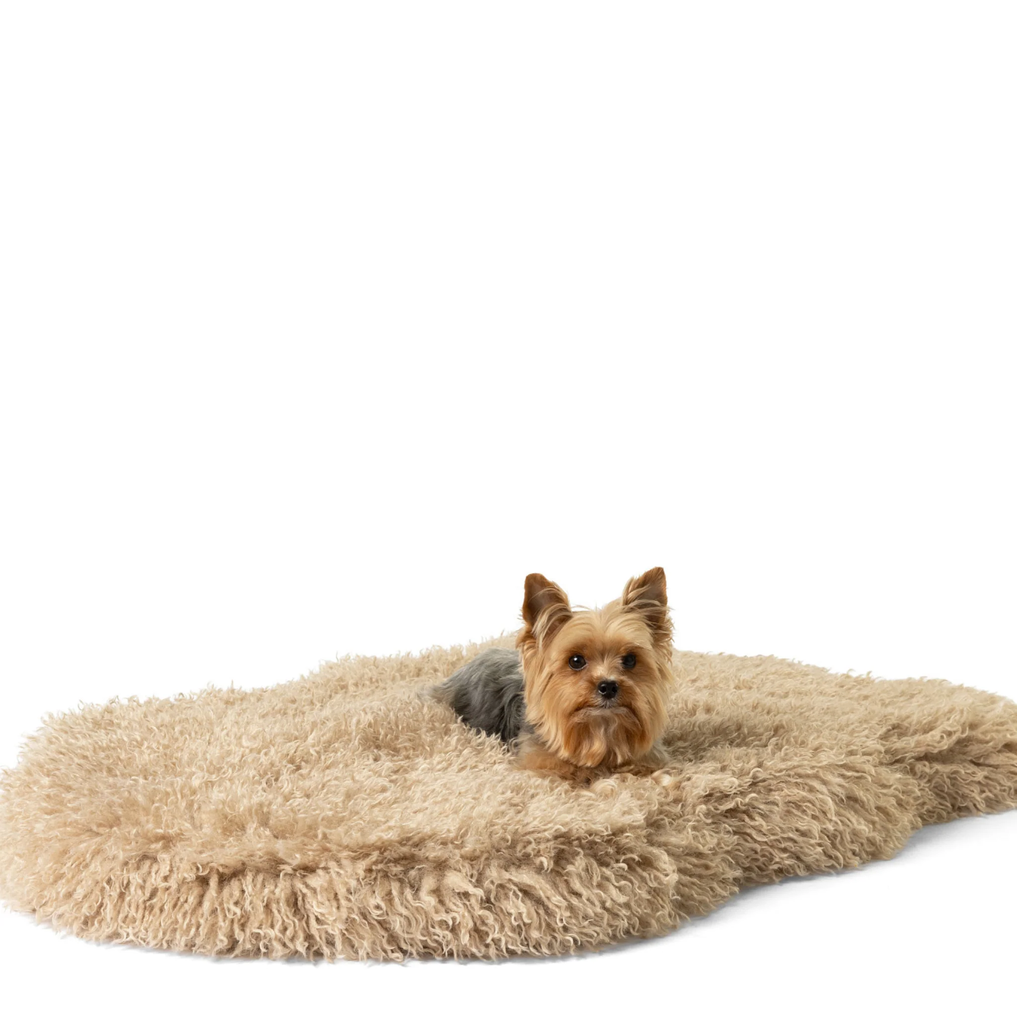 PupRug® Luxe Faux Fur Orthopedic Dog Bed - Plush Sheep Tan - Image 14