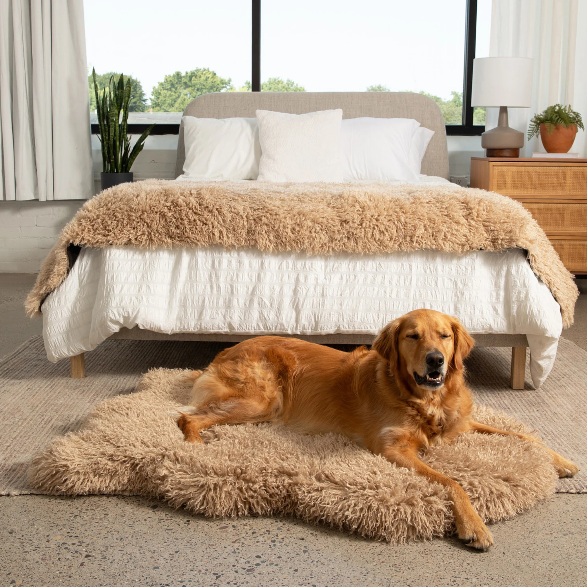 PupRug® Luxe Faux Fur Orthopedic Dog Bed - Plush Sheep Tan - Image 2