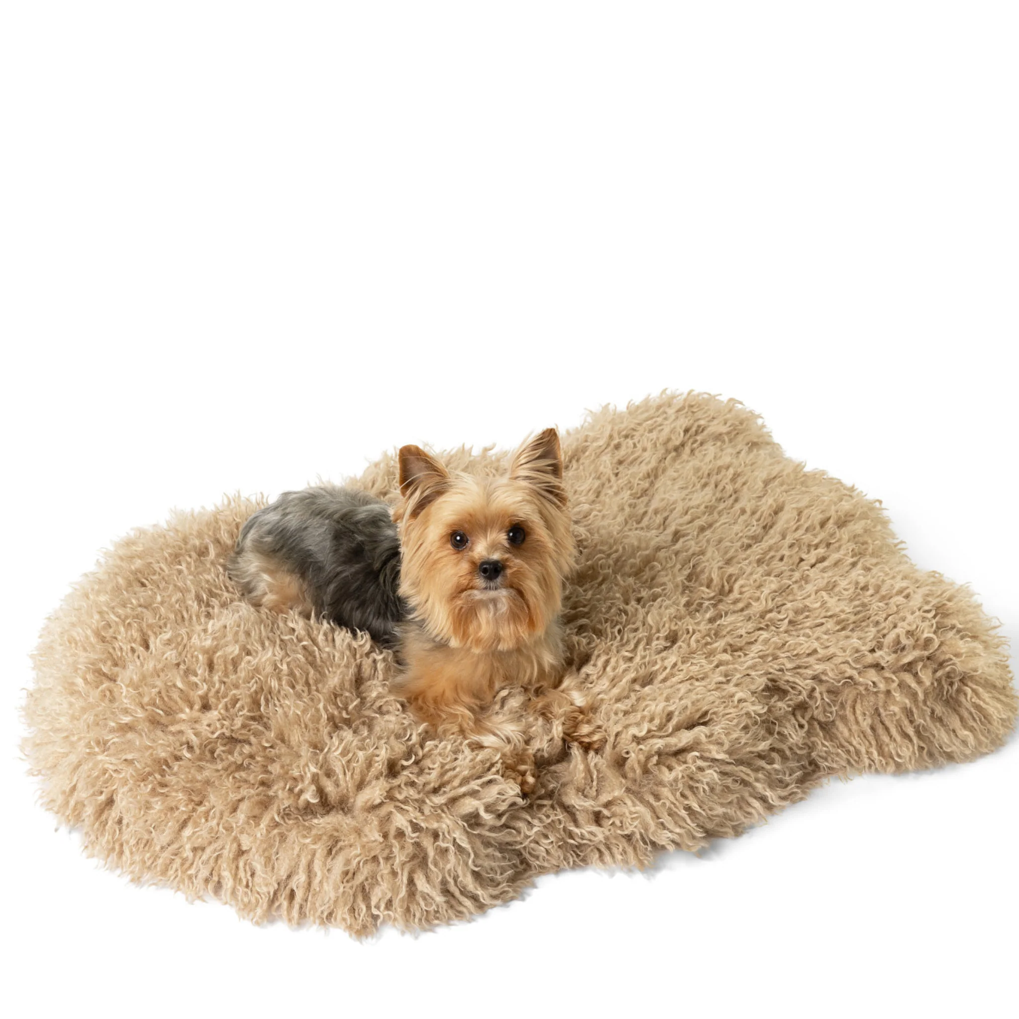PupRug® Luxe Faux Fur Orthopedic Dog Bed - Plush Sheep Tan - Image 5