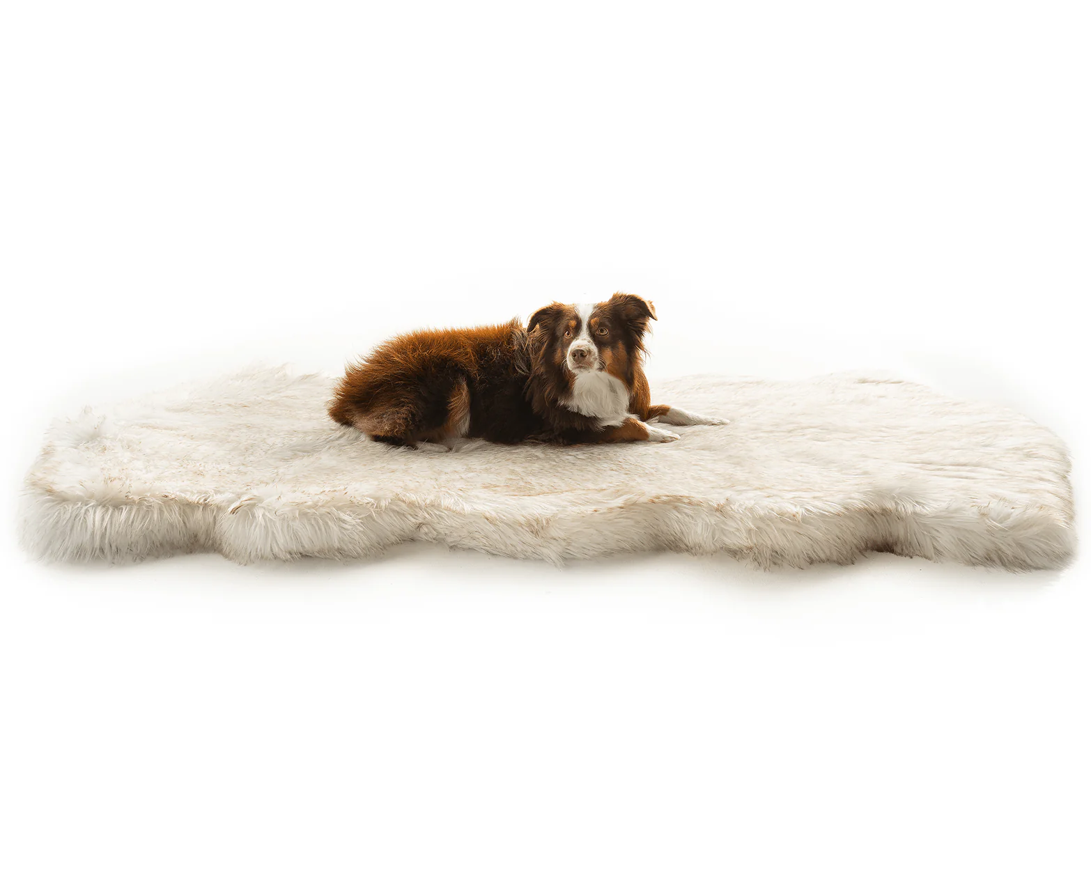 PupRug® Runner Faux Fur Memory Foam Dog Bed - Curve White with Brown Accents - Image 10