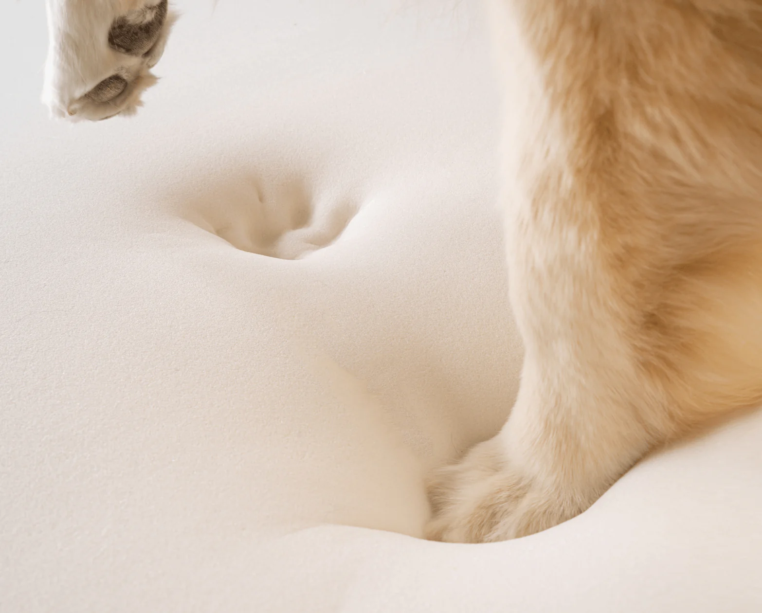 PupRug by Paw.com® Faux Fur Orthopedic Dog Bed - Curve Sable Tan - Image 6