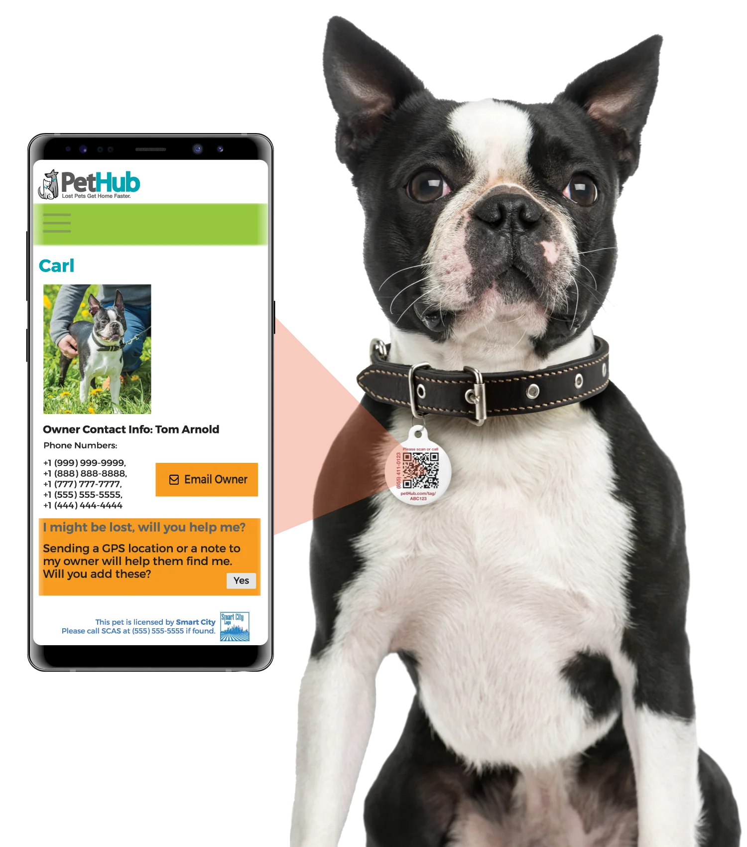 QR ID Pet Tag - Lost AF - Image 2