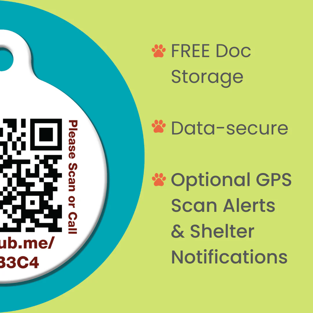 QR Pet Comprehensive Identification: Mini ReadyKit - Image 3