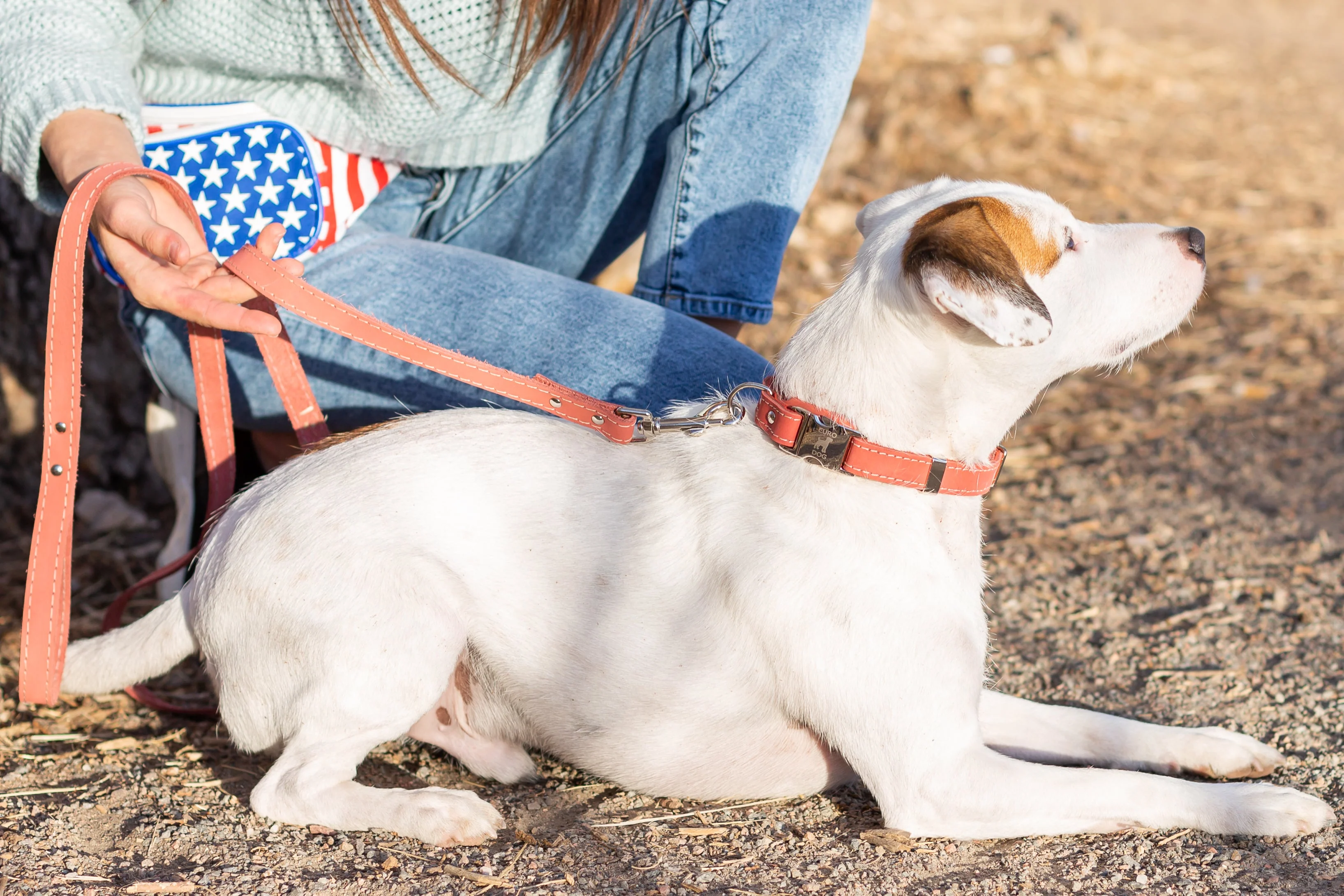 Quick-Release Style Leather Collar and Leash Set - Image 7