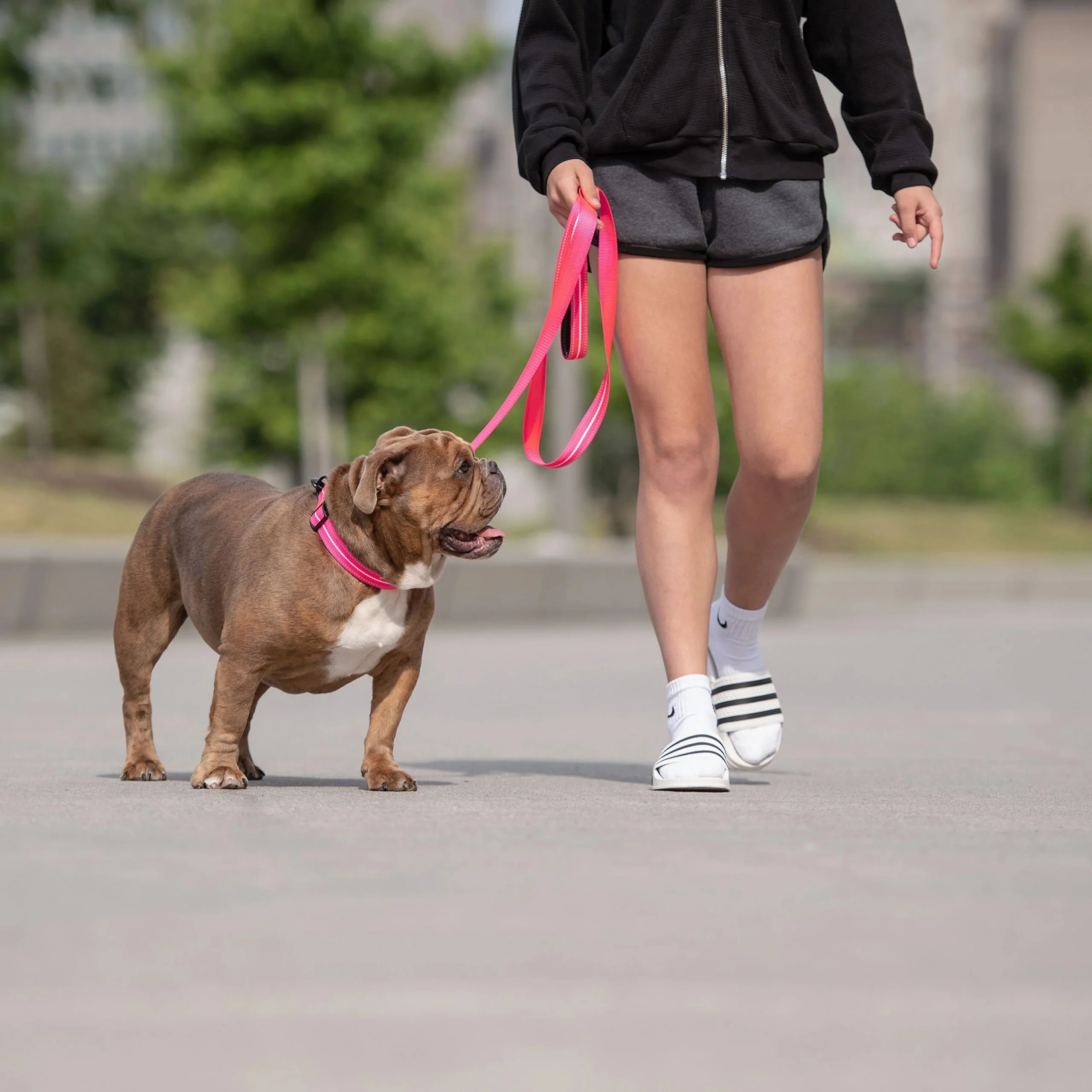 Reflective Leash - Neon Pink - Image 2