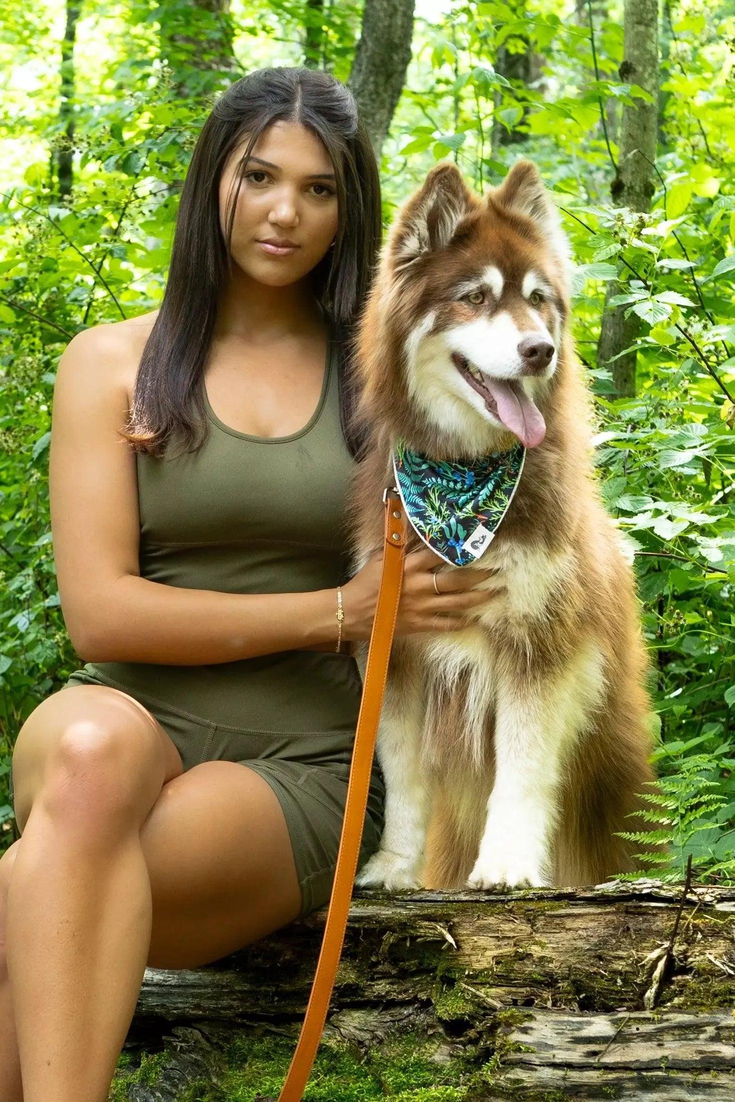 Sierra Sunrise Vegan Leather Dog Leash - Image 6