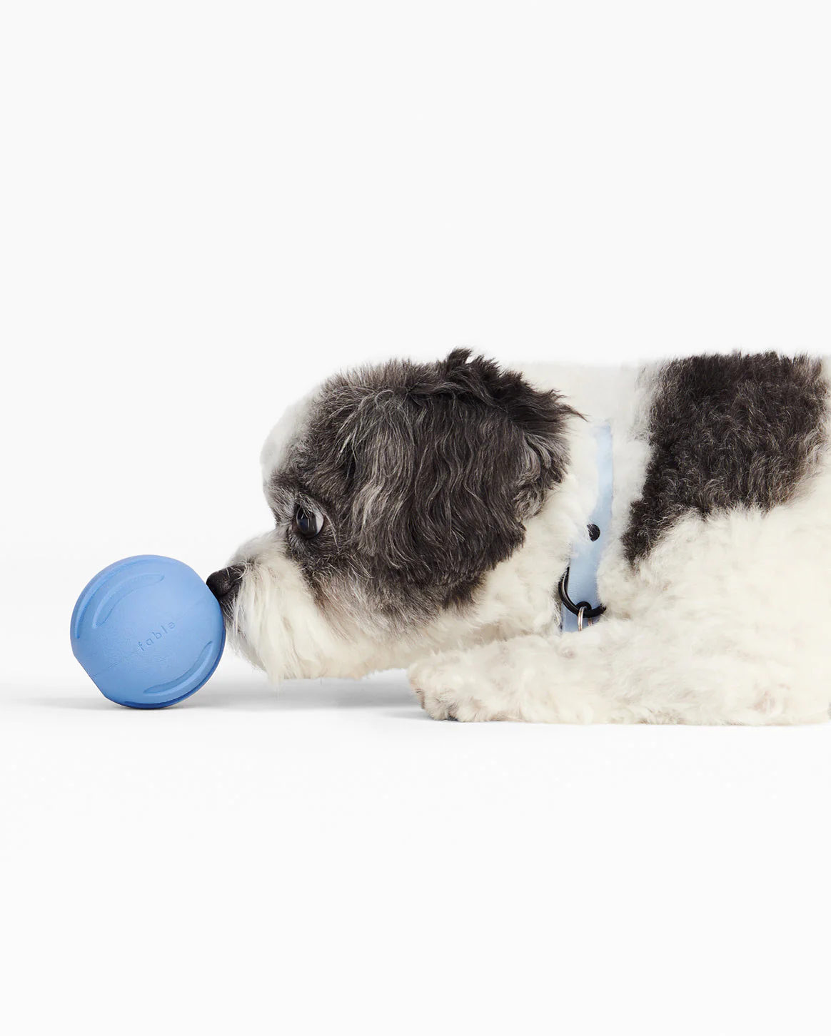 Signature Ball - Image 17